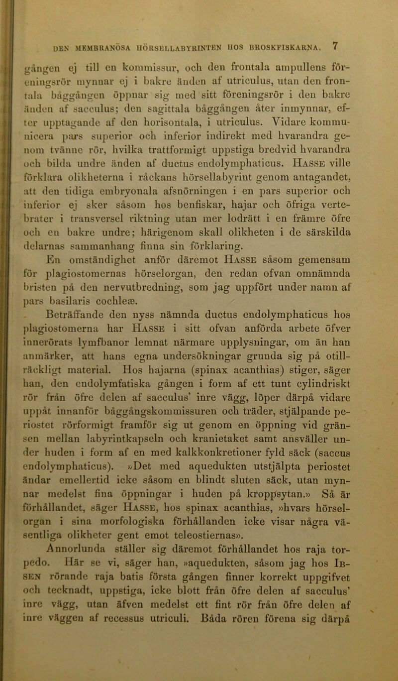 gången ej till en kommissur, ocli den frontala ampullens för- eningsrör mynnar ej i bakre änden af utriculus, utan den fron- tala båggången öppnar sig med sitt föreningsrör i den bakre änden af sacculus; den sagittala båggången åter inmynnar, ef- ter upptagande af den horisontala, i utriculus. Vidare kommu- nicera pars superior och inferior indirekt med hvarandra ge- nom tvänne rör, hvilka trattformigt uppstiga bredvid hvarandra och bilda undre änden af ductus endolymphaticus. IIasse ville förklara olikheterna i råckans hörsellabyrint genom antagandet, att den tidiga embryonala afsnörningen i en pars superior och inferior ej sker såsom hos benfiskar, hajar och öfriga verte- brater i trånsversel riktning utan mer lodrätt i en främre öfre och en bakre undre; härigenom skall olikheten i de särskilda delarnas sammanhang finna sin förklaring. En omständighet anför däremot Hasse såsom gemensam för plagiostomernas hörselorgan, den redan ofvan omnämnda bristen på den nervutbredning, som jag uppfört under namn af pars basilaris cochlete. Beträffande den nyss nämnda ductus endolymphaticus hos plagiostomerna har Hasse i sitt ofvan anförda arbete öfver innerörats lymfbanor lernnat närmare upplysningar, om än han anmärker, att hans egna undersökningar grunda sig på otill- räckligt material. Hos hajarna (spinax acanthias) stiger, säger han, den endolymfatiska gången i form af ett tunt cylindriskt rör från öfre delen af sacculus’ inre vägg, löper därpå vidare uppåt innanför båggångskommissuren och träder, stjälpande pe- riostet rörformigt framför sig ut genom en öppning vid grän- sen mellan labyrintkapseln och kranietaket samt ansväller un- der huden i form af en med kalkkonkretioner fyld säck (saccus endolymphaticus). »Det med aquedukten utstjälpta periostet ändar emellertid icke såsom en blindt sluten säck, utan myn- nar medelst fina öppningar i huden på kroppsytan.» Så är förhållandet, säger Hasse, hos spinax acanthias, »hvars hörsel- organ i sina morfologiska förhållanden icke visar några vä- sentliga olikheter gent emot teleostiernas». Annorlunda ställer sig däremot förhållandet hos raja tor- pedo. Här se vi, säger han, »aquedukten, såsom jag hos Ib- sen rörande raja batis första gången finner korrekt uppgifvet och tecknadt, uppstiga, icke blott från öfre delen af sacculus’ inre vägg, utan äfven medelst ett fint rör från öfre delen af inre väggen af recessus utrieuli. Båda rören förena sig därpå