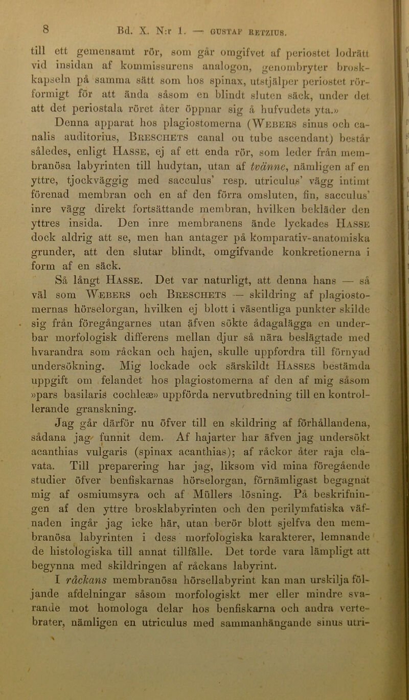 till ett gemensamt rör, som går orngifvet af periostet lodrätt vid insidan af kominissurens analogon, genombryter brosk- kapseln på samma sätt som hos spinax, utstjälper periostet rör- formigt för att ända såsom en blindt sluten säck, under det att det periostala röret åter öppnar sig å hufvudets yta.» Denna apparat hos plagiostomerna (Weijers sinus och ca- nalis auditorius, Bresciiets canal ou tube ascendantj består således, enligt Hasse, ej af ett enda rör, som leder från mein- branösa labyrinten till hudytan, utan af tvänne, nändigen af en yttre, tjockväggig med sacculus’ resp. utriculus’ vägg intimt förenad membran och en af den förra omsluten, fin, sacculus’ inre vägg direkt fortsättande membran, hvilken bekläder den yttres insida. Den inre membranens ände lyckades Hasse dock aldrig att se, men han antager på komparativ-anatomiska grunder, att den slutar blindt, omgifvande konkretionerna i form af en säck. Så långt Hasse. Det var naturligt, att denna hans — så väl som Webers och Bresciiets — skildring af plagiosto- mernas hörselorgan, hvilken ej blott i väsentliga punkter skilde sig från föregångarnes utan äfven sökte ådagalägga en under- bar morfologisk differens mellan djur så nära beslägtade med hvarandra som råckan och hajen, skulle uppfordra till förnyad undersökning. Mig lockade ock särskildt Hasses bestämda uppgift om felandet hos plagiostomerna af den af mig såsom »pars basilaris cochleaa» uppförda nervutbredning till en kontrol- lerande granskning. Jag går därför nu öfver till en skildring af förhållandena, sådana jag funnit dem. Af hajarter har äfven jag undersökt acanthias vulgaris (spinax acanthias); af råckor åter raja cla- vata. Till preparering har jag, liksom vid mina föregående studier öfver benfiskarnas hörselorgan, förnämligast begagnat mig af osmiumsyra och af Mullers lösning. På beskrifniu- gen af den yttre brosklabyrinten och den perilymfatiska väf- naden ingår jag icke här, utan berör blott sjelfva den mem- branösa labyrinten i dess morfologiska karakterer, lemnande de histologiska till annat tillfälle. Det torde vara lämpligt att begynna med skildringen af räckans labyrint. I räckans membranösa hörsellabyrint kan man urskilja föl- jande afdelningar såsom morfologiskt mer eller mindre sva- rande mot homologa delar hos benfiskarna och andra verte- brater, nämligen en utriculus med sammanhängande sinus utri- %