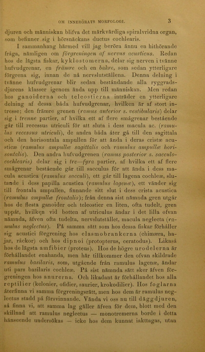 djuren och människan blifva det märkvärdiga spiralvridna organ, som befinner sig i hörsnäckans ductus cochlearis. I sammanhang härmed vill jag beröra ännu en hithörande fräga, nämligen om förgrenincien af nervus acusticus. Redan hos de lägsta fiskar, kyklostomerna, delar sig nerven i tvänne hufvudgrenar, en främre och en balcre, som sedan ytterligare förgrena sig, innan de nå nervslutställena. Denna delning i tvänne hufvudgrenar blir sedan beståndande alla ryggrads- djurens klasser igenom ända upp till människan. Men redan hos ga no i derna och teleostierna inträder en ytterligare delning af dessa båda hufvudgrenar, hvilken är af stort in- tresse; den främre grenen {ramus anterior s. vesHbularis) delar sig i trenne partier, af hvilka ett af flere smågrenar bestående går till recessus utriculi för att sluta i dess macula ac. (ramu- lits recessus utriculi), de andra båda åter gå till den sagittala och den horisontala ampullen för att ända i deras cristte acu- sticEB {rarnulus ampullce sagittalis och ramulus ampullce hori- sontalis). Den andra hufvudgrenen {ramus posterior s. sacculo- cochlearis) delar sig i tre—fyra partier, af hvilka ett af flere smågrenar bestående går till sacculus för att ända i dess raa- cula acustica {ramulus sacculi), ett går till lagena cochleae, slu- tande i dess papilla acustica {ramtilus lagence), ett vänder sig till frontala ampullen, finnande sitt slut i dess crista acustica {ramulus ampullce frontalis); från denna sist nämnda gren utgår hos de flesta ganoider och teleostier en liten, ofta tudelt, gren uppåt, hvilken vid botten af utriculus ändar i det lilla ofvan nämnda, äfven ofta tudelta, nervslutstället, macula neglecta {ra- mulus neglectus). På samma sätt som hos dessa fiskar förhåller sig acustici förgrening hos elasm o bran kerna (chimjera, ha- jar, råckor) och hos dip noi (protopterus, ceratodus). Likaså hos de lägsta am fi bier (proteus). Hos de högre ur odel erna är förhållandet enahanda, men här tillkommer den ofvan skildrade ramulus basilaris, som, utgående från ramulus lageno3, ändar uti pars basilaris cochlea3. På sist nämnda sätt sker äfven för- greningen hos anurerna. Och likadant är förhållandet hos alla reptilier (kelonier, ofidier, saurier, krokodilier). Hos foglarna återfinna vi samma förgreningsrätt, men hos dem är ramulus neg- lectus stadd på försvinnande. Vända vi oss nu till däggdjuren, så finna vi, att samma lajr gäller äfven för dem, blott med den skillnad att ramulus neglectus — monotremerna borde i detta hänseende undersökas — icke hos dem kunnat iakttagas, utan