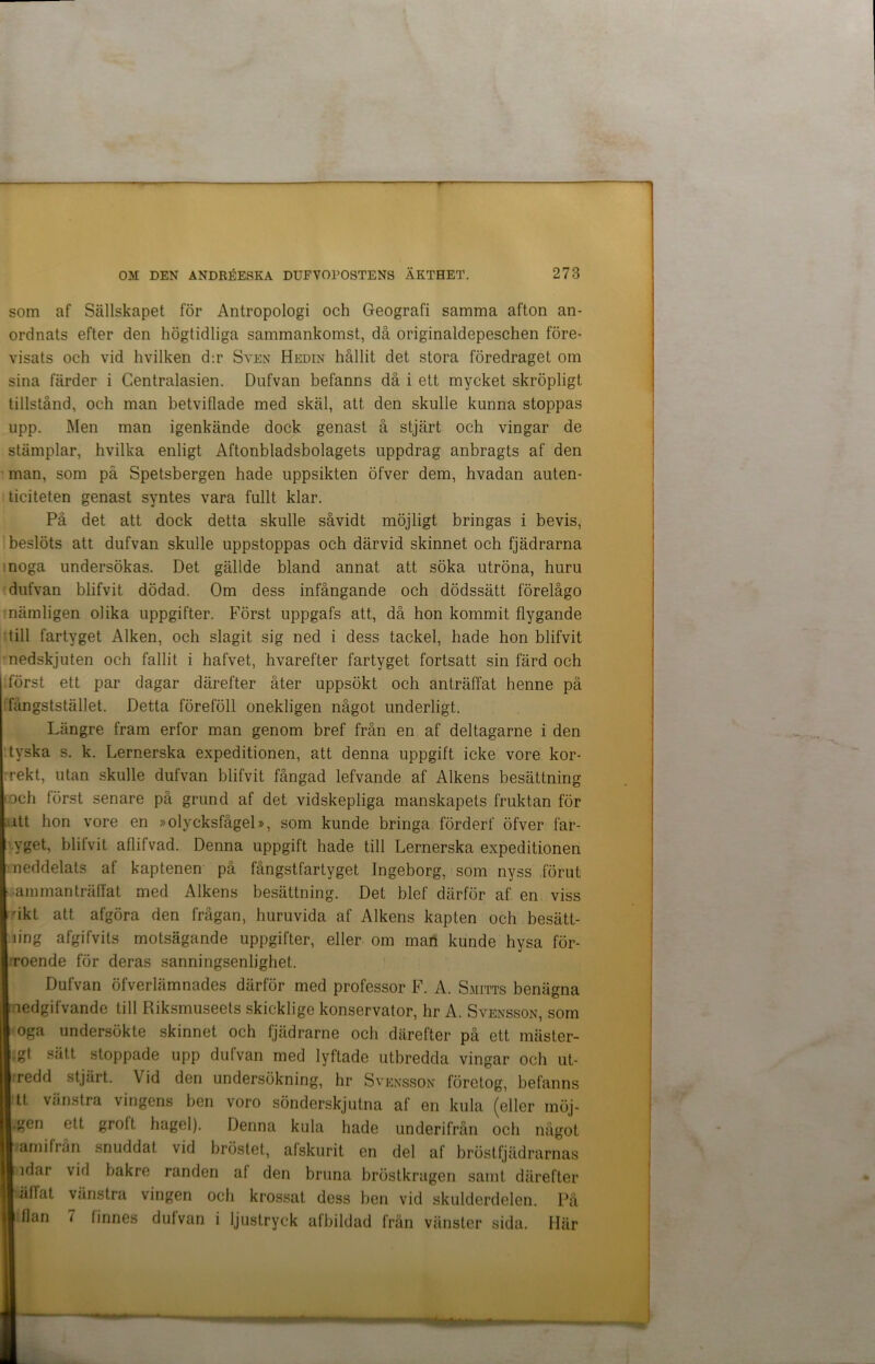 som af Sällskapet för Antropologi och Geografi samma afton an- ordnats efter den högtidliga sammankomst, då originaldepeschen före- visats och vid hvilken d:r Sven Hedin hållit det stora föredraget om sina färder i Centralasien. Dufvan befanns då i ett mycket skröpligt tillstånd, och man betviflade med skäl, att. den skulle kunna stoppas upp. Men man igenkände dock genast å stjärt och vingar de stämplar, hvilka enligt Aftonbladsbolagets uppdrag anbragts af den man, som på Spetsbergen hade uppsikten öfver dem, hvadan auten- ticiteten genast syntes vara fullt klar. På det att dock detta skulle såvidt möjligt bringas i bevis, beslöts att dufvan skulle uppstoppas och därvid skinnet och fjädrarna noga undersökas. Det gällde bland annat, att söka utröna, huru dufvan blifvit dödad. Om dess infångande och dödssätt förelågo nämligen olika uppgifter. Först uppgafs att, då hon kommit flygande till fartyget Alken, och slagit sig ned i dess tackel, hade hon blifvit nedskjuten och fallit i hafvet, hvarefter fartyget fortsatt sin färd och först ett par dagar därefter åter uppsökt och anträffat henne på fångststället. Detta föreföll onekligen något underligt. Längre fram erfor man genom bref från en af deltagarne i den tyska s. k. Lernerska expeditionen, att denna uppgift icke vore kor- rekt, utan skulle dufvan blifvit fångad lefvande af Alkens besättning och först senare på grund af det vidskepliga manskapets fruktan för . itt hon vore en »olycksfågel», som kunde bringa förderf öfver fär- yget, blifvit aflifvad. Denna uppgift hade till Lernerska expeditionen meddelats af kaptenen på fångstfartyget Ingeborg, som nyss förut •ammanträffat med Alkens besättning. Det blef därför af. en viss ukt att afgöra den frågan, huruvida af Alkens kapten och besätt- ling afgifvits motsägande uppgifter, eller om man kunde hysa för- roende för deras sanningsenlighet. Dufvan öfverlämnades därför med professor F. A. Smitts benägna aedgifvande till Riksmuseets skicklige konservator, hr A. Svensson, som oga undersökte skinnet och fjädrarne och därefter på ett mäster- .gt sätt stoppade upp dufvan med lyftade utbredda vingar och ut- rredd stjärt. Vid den undersökning, hr Svensson företog, befanns tt vänstra vingens ben voro sönderskjutna af en kula (eller inöj- .gen ett grolt hagel). Denna kula hade underifrån och något amifran snuddat vid bröstet, afskurit en del af bröstfjädrarnas idar vid bakre randen af den bruna bröstkragen samt därefter äffat vänstra vingen och krossat dess ben vid skulderdelen. På flan 7 finnes dufvan i ljustryck afbildad från vänster sida. Här