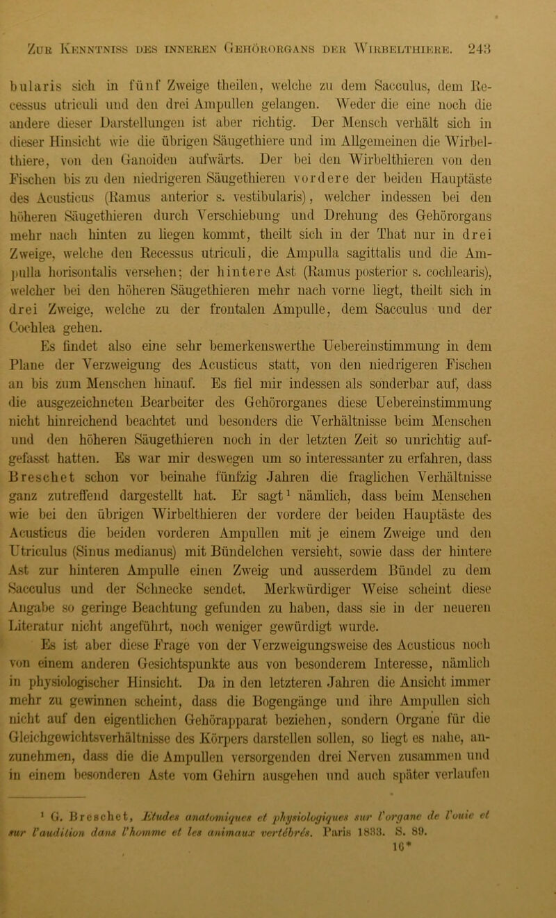 bularis sich in fünf Zweige theilen, welche zu dem Sacculus, dem Re- cessus utriculi und den drei Ampullen gelangen. Weder die eine noch die andere dieser Darstellungen ist aber richtig. Der Mensch verhält sich in dieser Hinsicht wie die übrigen Säugethiere und im Allgemeinen die Wirbel- thiere, von den Ganoiden aufwärts. Der bei den Wirbelthieren von den Fischen bis zu den niedrigeren Säugetliieren vordere der beiden Hauptäste des Acusticus (Ramus anterior s. vestibularis), welcher indessen bei den höhereu Säugethieren durch Yerschiebung und Drehung des Gehörorgans mehr nach hinten zu liegen kommt, theilt sich in der That nur in drei Zweige, welche deu Recessus utriculi, die Ampulla sagittalis und die Am- pulla horisontalis versehen; der hintere Ast (Ramus posterior s. cochlearis), welcher bei den höheren Säugethieren mehr nach vorne liegt, theilt sich in drei Zweige, welche zu der frontalen Ampulle, dem Sacculus und der Cochlea gehen. Es findet also eine sehr bemerkenswerthe Uebereinstiminung in dem Plane der Verzweigung des Acusticus statt, von den niedrigeren Fischen an bis zum Menschen hinauf. Es fiel mir indessen als sonderbar auf, dass die ausgezeichneten Bearbeiter des Gehörorganes diese Uebereinstimmuug nicht hinreichend beachtet und besonders die Verhältnisse beim Menschen und den höheren Säugethieren noch in der letzten Zeit so unrichtig auf- gefasst hatten. Es war mir deswegen um so interessanter zu erfahren, dass Dreschet schon vor beinahe fünfzig Jahren die fraglichen Verhältnisse ganz zutreffend dargestellt hat. Er sagt1 nämlich, dass beim Menschen wie bei den übrigen Wirbelthieren der vordere der beiden Hauptäste des Acusticus die beiden vorderen Ampullen mit je einem Zweige und den Utriculus (Sinus medianusj mit Bündeichen versieht, sowie dass der hintere Ast zur hinteren Ampulle einen Zweig und ausserdem Bündel zu dem Sacculus und der Schnecke sendet. Merkwürdiger Weise scheint diese Angabe so geringe Beachtung gefunden zu haben, dass sie in der neueren Literatur nicht angeführt, noch weniger gewürdigt wurde. Es ist aber diese Frage von der Verzweigungsweise des Acusticus noch von einem anderen Gesichtspunkte aus von besonderem Interesse, nämlich in physiologischer Hinsicht. Da in den letzteren Jahren die Ansicht immer mehr zu gewinnen scheint, dass die Bogengänge und ihre Ampullen sich nicht auf den eigentlichen Gehörapparat beziehen, sondern Organe für die Gleichgewichtsverhältnisse des Körpers darstellen sollen, so liegt es nahe, an- zunehmen, dass die die Ampullen versorgenden drei Nerven zusammen und in einem besonderen Aste vom Gehirn ausgehen und auch später verlaufen 1 G. Brcschet, litudcn anatvmiques et physiolugiqucx sur Vorgane de Vuuic et ■tur Vaudilion dans Vkomme et les animaux vcrtübrix. Paris 1833. S. 89. IG*