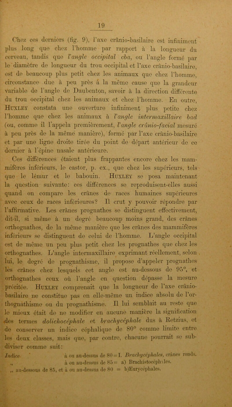 Chez ces derniers (fig. 9), l'axe crânio-basilaire est infiniment plus long que chez l’homme par rapport à la longueur du cerveau, tandis que Vangle occipital cba, ou l’angle formé par le diamètre de longueur du trou occipital et l’axe cranio-basilaire, est de beaucoup plus petit chez les animaux que chez l’homme, circonstance due à peu près à la même cause que la grandeur variable de l’angle de Daubenton, savoir à la direction différente du trou occipital chez les animaux et chez l’homme. En outre, Huxley constata une ouverture infiniment plus petite chez l'homme que chez les animaux à Vangle intermaxillaire bctcl (ou, comme il l'appela premièrement, Vangle cranio-facial mesuré à peu près de la même manière), formé par l’axe cranio-basilaire et par une ligne droite tirée du point de départ antérieur de ce dernier à l'épine nasale antérieure. Ces différences étaient plus frappantes encore chez les mam- mifères inférieurs, le castor, p. ex., que chez les supérieurs, tels que le lémur et le babouin. Huxley se posa maintenant la question suivante: ces différences se reproduisent-elles aussi quand on compare les crânes de races humaines supérieures avec ceux de races inférieures? Il crut y pouvoir répondre par l’affirmative. Les crânes prognathes se distinguent effectivement, dit-il, si même à un degré beaucoup moins grand, des crânes orthognathes, de la même manière que les crânes des mammifères inférieurs se distinguent de celui de l’homme. L’angle occipital est de même un peu plus petit chez les prognathes que chez les orthognathes. L’angle intermaxillaire exprimant réellement, selon lui, le degré de prognathisme, il propose d’appeler prognathes lès crânes chez lesquels cet angle est au-dessous de 95°, et orthognathes ceux où l’angle en question dépasse la mesure précitée. Huxley comprenait que la longueur de l’axe cranio- basilaire ne constitue pas en elle-même un indice absolu de l’or- thognathisme ou du prognathisme. Il lui semblait au reste que le mieux était de ne modifier en aucune manière la signification (des termes dolichocéphale et brachycéphale dus â Retzius, et de conserver un indice céphalique de 80° comme limite entre les deux classes, mais que, par contre, chacune pourrait se sub- diviser comme suit: Indice à ou au-dessus de 80 = I. Brachycéphales, crimes ronds. „ à ou au-dessus de 85= a) Brachistocéphdes. „ au-dessous de 85, et à ou au-dessus de 80 = bjEurycéphales.