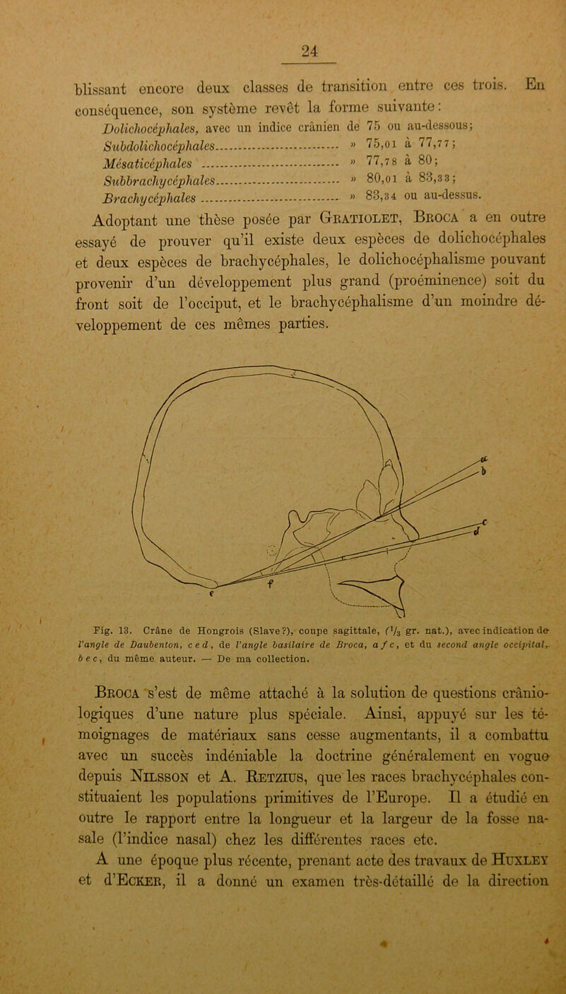 blissant encore deux classes de transition entre ces trois. En conséquence, son système revêt la forme suivante: Dolichocéphales, avec un indice crânien de 75 ou au-dessous; Subdolichocéphales ” 75,01 à 77,77 ; Mésaticéphales ” 77,7 8 à 80; Subbrachycéphales ” 80,oi à 83,3 3; Brachycéphales » 83,34 ou au-dessus. Adoptant une thèse posée par Gratiolet, Broca a en outre essayé de prouver qu’il existe deux espèces de dolichocéphales et deux espèces de brachycéphales, le dolichocéphalisme pouvant provenir d’un développement plus grand (proéminence) soit du front soit de l’occiput, et le brachycéphalisme d’un moindre dé- veloppement de ces mêmes parties. Fig. 13. Crâne de Hongrois (Slave?), coupe sagittale, f1/3 gr. nat.), avec indication de l'angle de Daubenton, ced, de Vangle basilaire de Broca, afc, et du second angle occipital, bec, du même auteur. — De ma collection. Broca s’est de même attaché à la solution de questions crânio- logiques d’une nature plus spéciale. Ainsi, appuyé sur les té- moignages de matériaux sans cesse augmentants, il a combattu avec un succès indéniable la doctrine généralement en vogue depuis Nilsson et A. Retzius, que les races brachycéphales con- stituaient les populations primitives de l’Europe. Il a étudié en outre le rapport entre la longueur et la largeur de la fosse na- sale (l’indice nasal) chez les différentes races etc. A une époque plus récente, prenant acte des travaux de Huxley et d’EcKER, il a donné un examen très-détaillé de la direction
