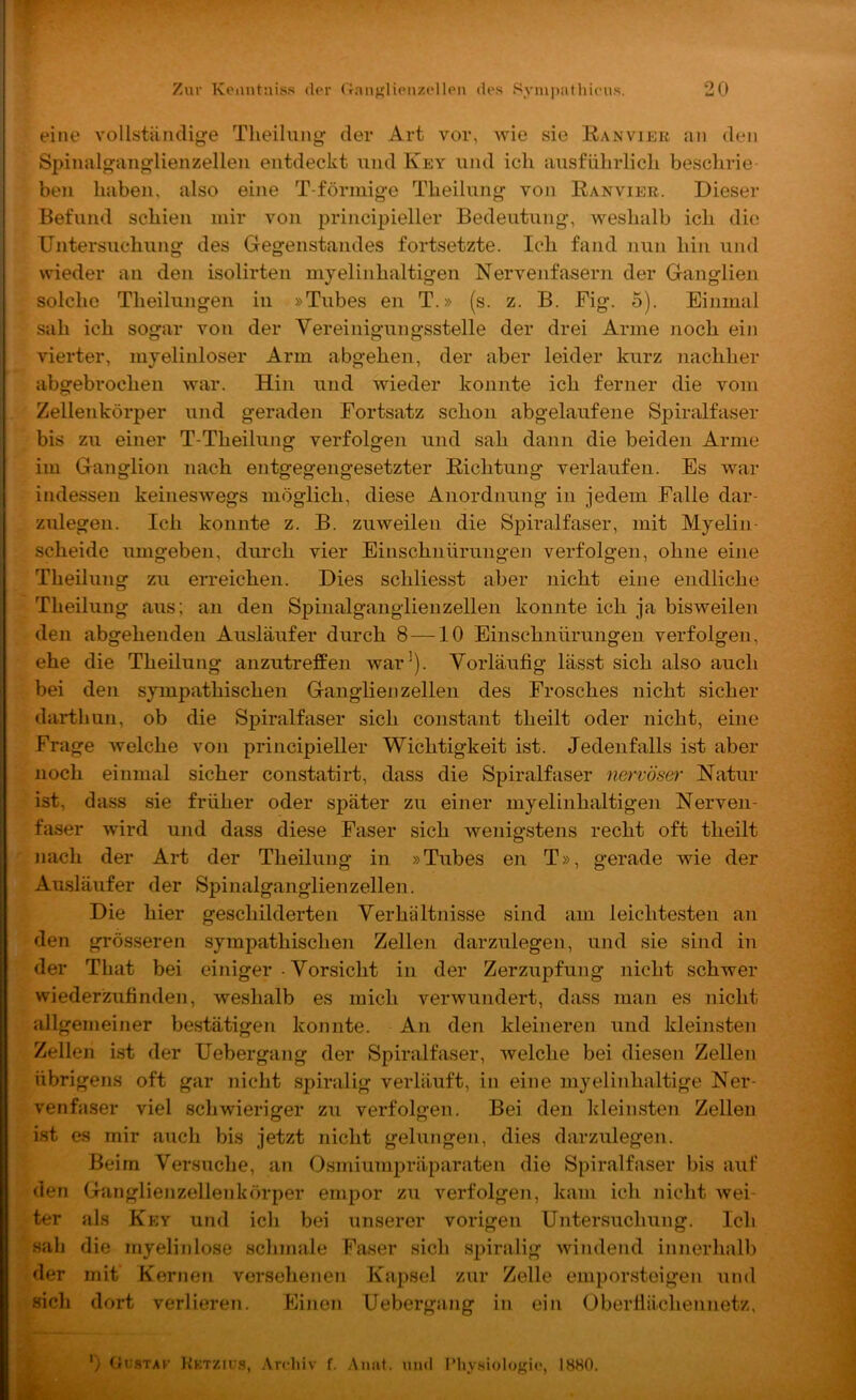 eine vollstänclige Theilnng; der Art vor, wie sie Ran vier an den Spinalg;ano;lienzellen entdeckt und Key und ich ausführlich besclirie ben haben, also eine T-förmige Theilnng von Ranvier. Dieser Befund schien mir von principieller Bedeutung, weshalb ich die Untersuchung des Gegenstandes fortsetzte. Ich fand nun hin und wieder an den isolirten mjelinhaltigen Nervenfasern der Ganglien solche Theilungen in »Tubes en T.» (s. z. B. Fig. 5). Einmal sah ich sogar von der Vereinigungsstelle der drei Arme noch ein vierter, mjeliuloser Arm abgehen, der aber leider kurz nachher abgebrochen war. Hin und wieder konnte ich ferner die vom Zellenkörper und geraden Fortsatz schon abgelaufene Spiralfaser bis zu einer T-Theilung verfolgen und sah dann die beiden Arme im Ganglion nach entgegengesetzter Richtung verlaufen. Es war indessen keineswegs möglich, diese Anordnung in jedem Falle dar- zulegen. Ich konnte z. B. zuweilen die Spiralfaser, mit Myelin- scheide umgeben, durch vier Einschnürungen verfolgen, ohne eine Theilnng zu erreichen. Dies schliesst aber nicht eine endliche Theilung aus; an den Spinalganglienzellen konnte ich ja bisweilen den abgehenden Ausläufer durch 8 —10 Einschnürungen verfolgen, ehe die Theilung anzutreffen war^). Vorläufig lässt sich also auch bei den sympathischen Ganglienzellen des Frosches nicht sicher darthun, ob die Spiralfaser sich constant theilt oder nicht, eine Frage welche von principieller Wichtigkeit ist. Jedenfalls ist aber noch einmal sicher constatirt, dass die Spiralfaser nervös&t' Natur ist, dass sie früher oder später zu einer myelinhaltigen Nerven- faser wird und dass diese Faser sich wenigstens recht oft theilt nach der Art der Theilung in »Tubes en T», gerade wie der Ausläufer der Spiiialganglienzellen. Die hier geschilderten Verhältnisse sind am leichtesten an den grösseren sympathischen Zellen darzulegen, und sie sind in der That bei einiger • Vorsicht in der Zerzupfung nicht schwer wiederzufinden, weshalb es mich verwundert, dass man es nicht allgemeiner bestätigen konnte. An den kleineren und kleinsten Zellen ist der Uebergang der Spiralfaser, welche bei diesen Zellen übrigens oft gar nicht sj^iralig verläuft, in eine myelinhaltige Ner- venfaser viel schwieriger zu verfolgen. Bei den kleinsten Zellen ist es mir auch bis jetzt nicht gelungen, dies darzulegen. Beim Versuche, an Osmiumpräparaten die Spiralfaser bis auf den Ganglienzellenkörper empor zu verfolgen, kam ich nicht wei- ter als Key und icli bei unserer vorigen Untersuchung. Ich sab die myelinlose schmale Faser sich spiralig Avindend innerhall) der mit Kernen versehenen Kapsel zur Zelle emporsteigeii und sich dort verlieren. Einen Uebergang in ein Oberfiächennetz, ') Oi-'STAK Hktzius, Archiv f. Anat. und l’hy.siologie, 1880.