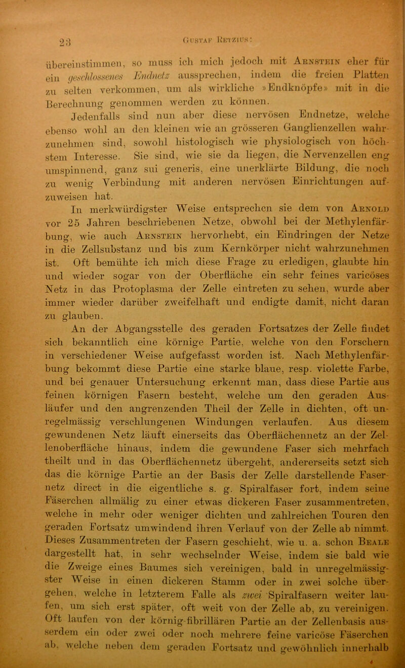 2;5 (JUSTAI’ Rkt/.u’s: Übereiiistimmen, so muss icli mich jedoch mit Aenstein eher für ein (/eschhissenos Kmlndz aussprechen, indem die freien Platteji zu selten verkommen, um als wirkliche »Endknöpfe» mit in die Berechnung' genommen werden zu können. Jedenfalls sind nun aber diese nervösen Endnetze, welche ebenso wohl an den kleinen wie an grösseren Ganglienzellen wahr- zunehmen sind, sowohl histologisch wie physiologisch von höch- stem Interesse. Sie sind, wie sie da liegen, die Nervenzellen eng umspinnend, ganz sni generis, eine unerklärte Bildung, die noch zu wenig Verbindung mit anderen nervösen Einrichtungen auf- zuweisen hat. In merkwürdigster Weise entsprechen sie dem von Aenold vor 25 Jahren beschriebenen Netze, obwohl bei der Methylenfär- bung, wie auch Aenstein hervor hebt, ein Eindringen der Netze in die Zellsubstanz und bis zum Kernkörjier nicht wahrzunehmen ist. Oft bemühte ich mich diese Frage zu erledigen, glaubte hin und wieder sogar von der Oberfläche ein sehr feines varicöses Netz in das Protoplasma der Zelle eintreten zu sehen, wurde aber immer wieder darüber zweifelhaft und endigte damit, nicht daran zu glauben. An der Abgangsstelle des geraden Fortsatzes der Zelle flndet sich bekanntlich eine körnige Partie, welche von den Forschern in verschiedener Weise aufgefasst worden ist. Nach Methylenfär- bung bekommt diese Partie eine starke blaue, resp. violette Farbe, und bei genauer Untersuchung erkennt man, dass diese Partie aus feinen körnigen Fasern besteht, welche um den geraden Aus- läufer und den angrenzenden Theil der Zelle in dichten, oft un- regelmässig verschlungenen Windungen verlaufen. Aus diesem gewundenen Netz läuft einerseits das Oberflächennetz an der Zel- lenoberfläche hinaus, indem die gewundene Faser sich mehrfach theilt und in das Oberflächennetz übergeht, andererseits setzt sich das die körnige Partie an der Basis der Zelle darstellende Faser- netz direct in die eigentliche s. g. Spiralfaser fort, indem seine Fäserchen allmälig zu einer etwas dickeren Faser zusammentreten, welche in mehr oder weniger dichten und zahlreichen Touren den geraden Fortsatz umwindend ihren Verlauf von der Zelle ab nimmt. Dieses Zusammentreten der Fasern geschieht, wie u. a. schon Beale dargestellt hat, in sehr wechselnder Weise, indem sie bald wie die Zweige eines Baumes sich vereinigen, bald in unregelmässig- ster Weise in einen dickeren Stamm oder in zwei solche über- gehen, welche in letzterem Falle als zivei Spiralfasern Aveiter lau- fen, um sich erst später, oft weit von der Zelle ab, zu vereinigen. Oft laufen von der körnig-flbrillären Partie an der Zellenbasis aus- serdem ein oder zwei oder noch mehrere feine varicöse Fäserchen ab, Avelche neben dem geraden Fortsatz und gewöhnlich innerbalb 4