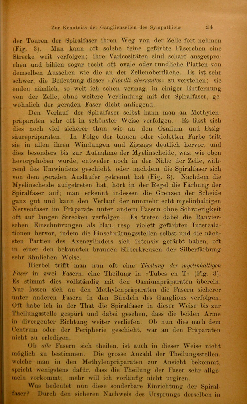 der Touren der Spiralfaser ihren Weg von der Zelle fort nehmen (Fig. 3). Man kann oft solche feine gefärbte Fäserchen eine Strecke weit verfolgen; ihre Varicositäten sind scharf ausgespro- chen und bilden sogar recht oft ovale oder rundliche Platten von demselben Aussehen wie die an der Zellenoberfläche. Es ist sehr schwer, die Bedeutung dieser »Fibi'illi ahe7ranfes» zu verstehen; sie enden nämlich, so weit ich sehen vermag, in einiger Entfernung von der Zelle, ohne weitere Verbindung mit der Spiralfaser, ge- wöhnlich der geraden Faser dicht anliegend. Den Verlauf der Spiralfaser selbst kann man an Methylen- präparaten sehr oft in schönster Weise verfolgen. Es lässt sich dies noch viel sicherer thun Avie an den Osmium- und Essig- säurepräparaten. In Folge der blauen oder violetten Farbe tritt sie in allen ihren Windungen und Zigzags deutlich hervor, und dies besonders bis zur Aufnahme der Myelinscheide, was, wie oben hevorgehoben Avurde, entweder noch in der Nähe der Zelle, wäh- rend des Umwindens geschieht, oder nachdem die Spiralfaser sich von dem geraden Ausläufer getrennt hat (Fig. 3). Nachdem die Myelin scheide aufgetreten hat, hört in der Regel die Färbung der Spiralfaser auf; man erkennt indessen die Grenzen der Scheide ganz gut und kann den Verlauf der nunmehr echt myelinhaltigen Nervenfaser im Präparate unter andern Fasern ohne Schwierigkeit oft aiif langen Strecken verfolgen. Es treten dabei die Ranvier- schen Einschnürungen als blau, resp. violett gefärbten Intercala- tionen hervor, indem die Einschnürungsstellen selbst und die näch- sten Partien des Axencylinders sich intensiv gefärbt haben, oft in einer den bekannten braunen Silber kreuzen der Silberfärbung sehr ähnlichen Weise. Hierbei trifft man nun oft eine Theihoig der myelinhrdfiffm Faser in zwei Fasern, eine Theilung in »Tubes en T» (Fig. 3). Es stimmt dies vollständig mit den Osmiumpräparaten überein. Nur lassen sich an den Methylenpräparaten die Fasern sicherer unter anderen Fasern in den Bündeln des Ganglions verfolgen. Oft habe ich in der That die Spiralfaser in dieser Weise bis zur Theilungsstelle gespürt und dabei gesehen, dass die beiden Arme in divergenter Richtung weiter verliefen. Ob nun dies nach dem Oentrum oder der Peripherie geschieht, war an den Präparaten nicht zu erledigen. Ob (die Fasern sich theilen, ist auch in dieser Weise niclit möglich zu be.stimmen. Die grosse Anzahl der Theilungsstellen, welche man in den Methylenpräparateji zur Ansiclit bekommt, .spricht wenig.stens dafür, dass die Theilung der Faser selir allge- mein vorkommt; mehr Avill ich vorläufig nicht urgiren. Was bedeutet nun diese sonderbare Einrichtung der Spiral- hiserV Durch den siclieren Na<‘hwois des Ursprungs denselben in