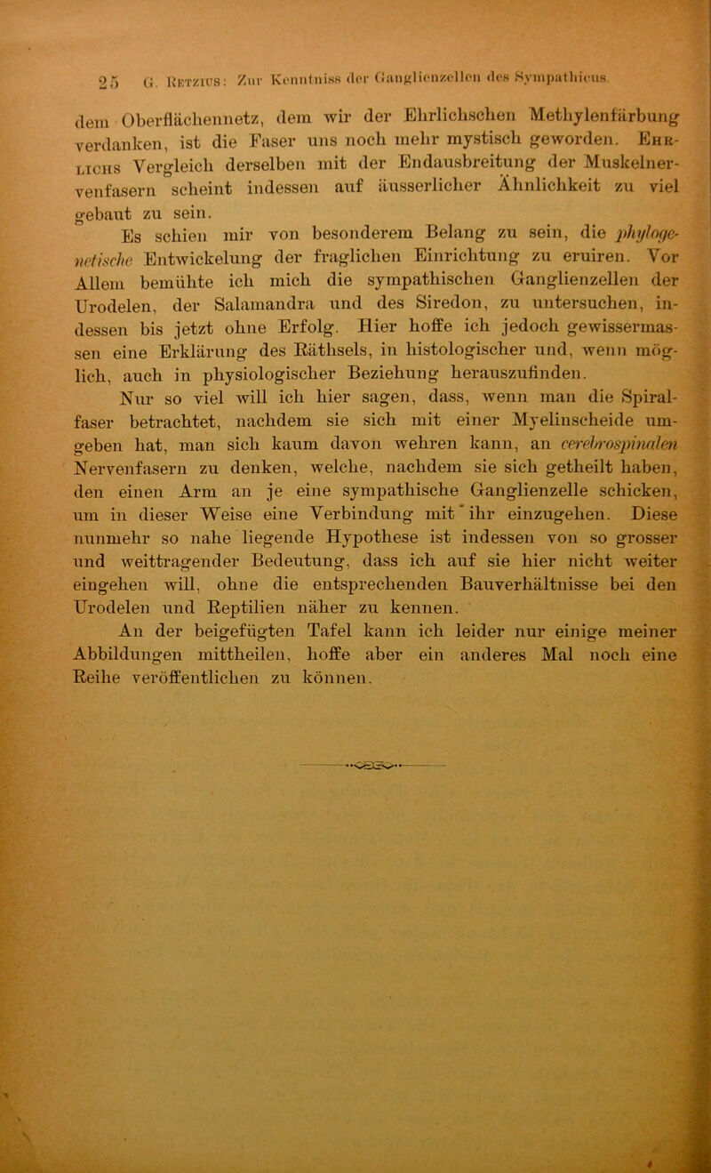 r=Tf%, dem Oberflächemietz, dem wir der Elirlichsclien Methylenfärbung verdanken, ist die Faser uns noch mehr mystisch geworden. Ehr- LTCHS Vergleich derselben mit der Endausbreitung der Muskelner- venfasern scheint indessen auf äusserlicher Ähnlichkeit zu viel gebaut zu sein. Es schien mir von besonderem Belang zu sein, die phyloge- netische Entwickelung der fraglichen Einrichtung zu eruiren. Vor Allem bemühte ich mich die sympathischen Ganglienzellen der Urodelen, der Salamandra und des Siredon, zu untersuchen, in- dessen bis jetzt ohne Erfolg. Hier hoffe ich jedoch gewissermas- sen eine Erklärung des Eäthsels, in histologischer und, Avenn mög- lich, auch in physiologischer Beziehung herauszufinden. Nur so viel will ich hier sagen, dass, wenn man die Spiral- faser betrachtet, nachdem sie sich mit einer Myelinscheide um- geben hat, man sich kaum davon wehren kann, an cei'cln'ospinnlen Nervenfasern zu denken, welche, nachdem sie sich getheilt haben, den einen Arm an je eine sympathische Ganglienzelle schicken, um in dieser Weise eine Verbindung mit ihr einzugehen. Diese nunmehr so nahe liegende Hypothese ist indessen von so grosser und weittragender Bedeutung, dass ich auf sie hier nicht Aveiter eingehen will, ohne die entsprechenden Bauverhältnisse bei den Urodelen und Eeptilien näher zu kennen. An der beigefügten Tafel kann ich leider nur einige meiner Abbildungen mittheilen, hoffe aber ein anderes Mal noch eine Eeihe veröffentlichen zu können. It V! •J i i