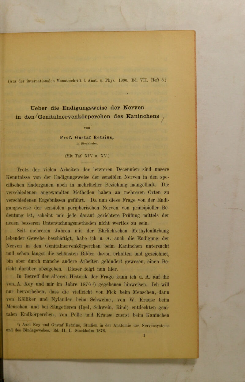 (Aus der internationalen Monatsschrift f. Anat. u. Phys. 1890. Bd. VII. Heft 8.) Ueber die Endigungsweise der Nerven in den Genitalnervenkörperchen des Kaninchens voll Prof. Gustaf Ketzins* in Stockholm. (Mit Taf. XIV u. XV.) Trotz der vielen Arbeiten der letzteren Decennien sind unsere Kenntnisse von der Endigungsweise der sensiblen Nerven in den spe- cifischen Endorganen noch in mehrfacher Beziehung mangelhaft. Die verschiedenen angewandten Methoden haben an mehreren Orten zu verschiedenen Ergebnissen geführt. Da nun diese Frage von der Endi- gungsweise der sensiblen peripherischen Nerven von principieller Be- deutung ist, scheint mir jede darauf gerichtete Prüfung mittels der neuen besseren Untersuchungsniethoden nicht wertlos zu sein. Seit mehreren Jahren mit der Ehrlich’schen Methylenfärbung lebender Gewebe beschäftigt, habe ich u. A. auch die Endigung der Nerven in den Genitalnervenkörperchen beim Kaninchen untersucht und schon längst die schönsten Bilder davon erhalten und gezeichnet, bin aber durch manche andere Arbeiten gehindert gewesen, einen Be- licht darüber abzugeben. Dieser folgt nun liier. In Betreff der älteren Historik der Frage kann ich u. A. auf die von. A. Key und mir im Jahre 1876 *) gegebenen liinweisen. Ich will 0111’ hervorheben, dass die vielleicht von Fick beim Menschen, dann von Kölliker und Nylander beim Schweine, von W. Krause beim Menschen und bei Säugetieren (Igel, Schwein, Rind) entdeckten geni- talen Endkörperchen, von Polle und Krause zuerst beim Kaninchen ‘) Axel Key und Gustaf Retzius, Studien in dev Anatomie des Nervensystems und des Bindegewebes. Bd. II, I. Stockholm 1876.