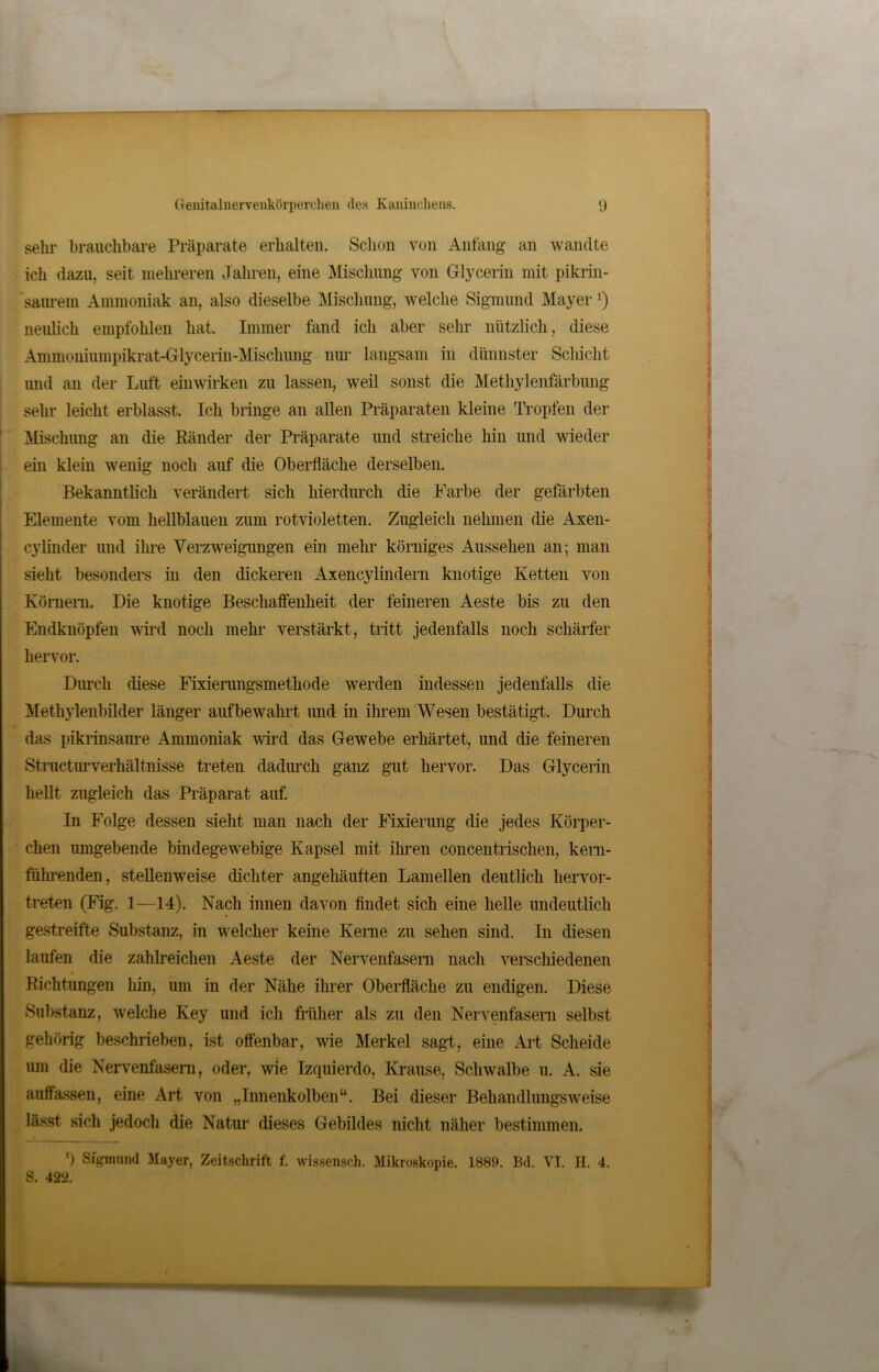 sehr brauchbare Präparate erhalten. Schon von Anfang an wandte ich dazu, seit mehreren Jahren, eine Mischung von Glycerin mit pikrin- saurem Ammoniak an, also dieselbe Mischung, welche Sigmund Mayer ‘) neidich empfohlen hat. Immer fand ich aber sehr nützlich, diese Ammoniumpikrat-Glycerin-Mischung nur langsam in dünnster Schicht und an der Luft einwirken zu lassen, weil sonst die Methylenfärbung sehr leicht erblasst. Ich bringe an allen Präparaten kleine Tropfen der Mischung an die Ränder der Präparate und streiche hin und wieder ein klein wenig noch auf die Oberfläche derselben. Bekanntlich verändert sich hierdurch die Farbe der gefärbten Elemente vom hellblauen zum rotvioletten. Zugleich nehmen die Axen- cylinder und ihre Verzweigungen ein mehr körniges Aussehen an; man sieht besonders in den dickeren Axencylindern knotige Ketten von Körnern. Die knotige Beschaffenheit der feineren Aeste bis zu den Endknöpfen wird noch mehr verstärkt, tritt jedenfalls noch schärfer hervor. Durch diese Fixierungsmethode werden indessen jedenfalls die Methylenbilder länger auf bewahrt und in ihrem Wesen bestätigt. Durch das pikrinsaure Ammoniak wird das Gewebe erhärtet, und die feineren Structurverhältnisse treten dadurch ganz gut hervor. Das Glycerin hellt zugleich das Präparat auf. In Folge dessen sieht man nach der Fixierung die jedes Körper- chen umgebende bindegewebige Kapsel mit ihren concentrischen, kem- führenden, stellenweise dichter angehäuften Lamellen deutlich hervor- treten (Fig. 1—14). Nach innen davon findet sich eine helle undeutlich gestreifte Substanz, in welcher keine Keime zu sehen sind. In diesen laufen die zahlreichen Aeste der Nervenfasern nach verschiedenen t Richtungen hin, um in der Nähe ihrer Oberfläche zu endigen. Diese Substanz, welche Key und ich früher als zu den Nervenfasern selbst gehörig beschrieben, ist offenbar, wie Merkel sagt, eine Art Scheide um die Nervenfasern, oder, wie Izquierdo, Krause, Schwalbe u. A. sie auffassen, eine Art von „Innenkolben“. Bei dieser Behandlungsweise lässt sich jedoch die Natur dieses Gebildes nicht näher bestimmen. ‘) Sigmund Mayer, Zeitschrift f. wissensch. Mikroskopie. 1889. Bd. VI. H. 4. S. 422.