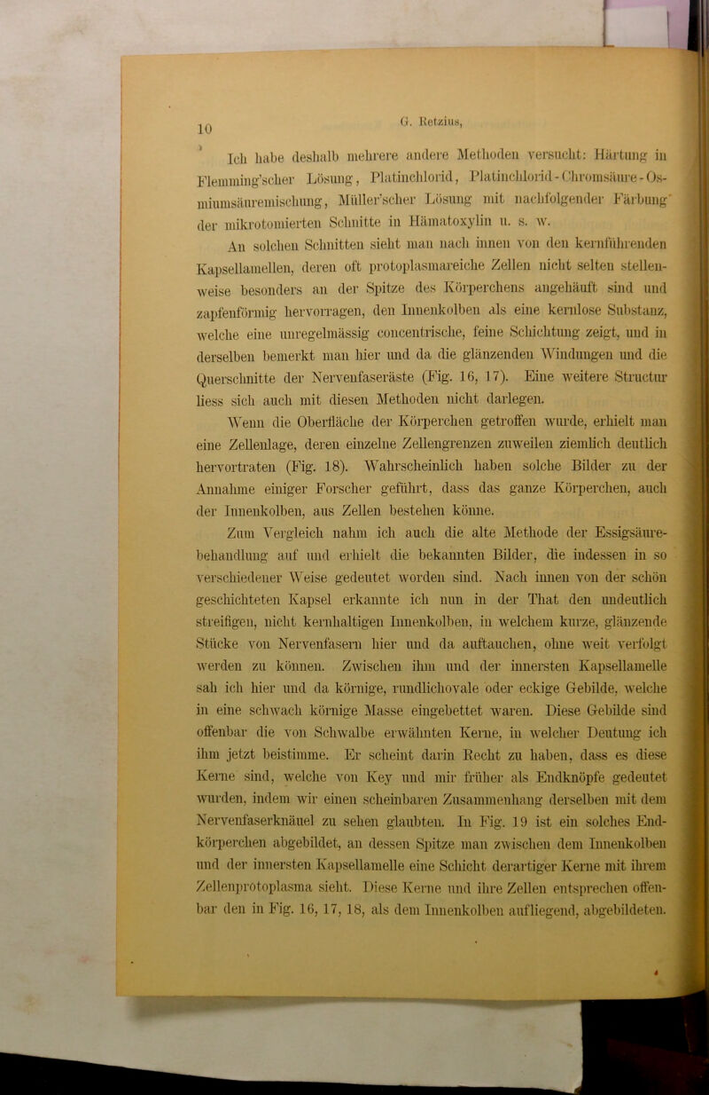 L Ich habe deshalb mehrere andere Methoden versucht: Härtung in Flemming’scher Lösung, Platinclilorid, Platinchlorid - Chromsäure - Os- miumsäuremischung, Miiller’sclier Lösung mit nachfolgender Färbung der mikrotomierten Schnitte in Hämatoxylin u. s. w. An solchen Schnitten sieht man nach innen von den kernführenden Kapsellamellen, deren oft protoplasmareiche Zellen nicht selten stellen- weise besonders an der Spitze des Körperchens angehäuft sind und zapfenförmig hervorragen, den Innenkolben als eine kernlose Substanz, welche eine unregelmässig concentrische, feine Schichtung zeigt, und in derselben bemerkt man hier und da die glänzenden Windungen und die Querschnitte der Nervenfaseräste (Fig. 16, 17). Eine weitere Structur liess sich auch mit diesen Methoden nicht darlegen. Wenn die Oberfläche der Körperchen getroffen wurde, erhielt man eine Zellenlage, deren einzelne Zellengrenzen zuweilen ziemlich deutlich hervortraten (Fig. 18). Wahrscheinlich haben solche Bilder zu der Annahme einiger Forscher geführt, dass das ganze Körperchen, auch der Innenkolben, aus Zellen bestehen könne. Zum Vergleich nahm ich auch die alte Methode der Essigsäure- bekandlung auf und erhielt die bekannten Bilder, che indessen in so verschiedener Weise gedeutet worden sind. Nach innen von der schön geschichteten Kapsel erkannte ich nun in der That den undeutlich streifigen, nicht kernhaltigen Innenkolben, in welchem kurze, glänzende Stücke von Nervenfasern hier und da auftauchen, ohne weit verfolgt werden zu können. Zwischen ihm und der innersten Kapsellamelle sah ich hier und da körnige, rundlichovale oder eckige Gebilde, welche in eine schwach körnige Masse eingebettet waren. Diese Gebilde sind offenbar die von Schwalbe erwähnten Kerne, in welcher Deutung ich ihm jetzt beistimme. Er scheint darin Recht zu haben, dass es diese Kerne sind, welche von Key und mir früher als Endknöpfe gedeutet wurden, indem wir einen scheinbaren Zusammenhang derselben mit dem Nervenfaserknäuel zu sehen glaubten. In Fig. 19 ist ein solches End- körperchen abgebildet, an dessen Spitze man zwischen dem Innenkolben und der innersten Kapsellamelle eine Schicht derartiger Kerne mit ihrem Zellenprotoplasma sieht. Diese Kerne und ihre Zellen entsprechen offen- bar den in Fig. 16, 17, 18, als dem Innenkolben auf liegend, abgebildeten. *