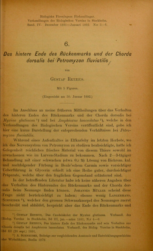 digitised image 3