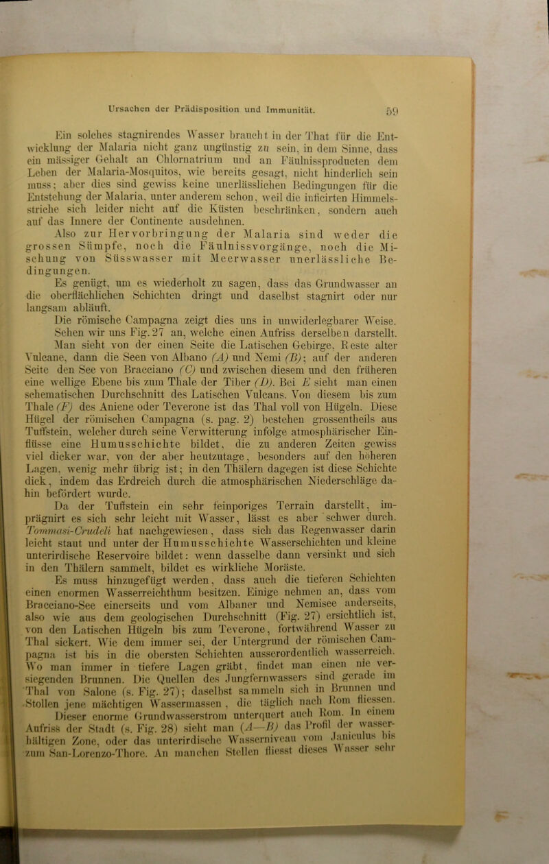 Ein solches stagnirendes Wasser braucht in der That für die Ent- wicklung der Malaria nicht ganz ungünstig zu sein, in dem Sinne, dass ein massiger Gehalt an Chlornatrium und an Fäulnissproducten dem Leben der Malaria-Mosquitos, wie bereits gesagt, nicht hinderlich sein muss; aber dies sind gewiss keine unerlässlichen Bedingungen für die Entstehung der Malaria, unter anderem schon, weil die inficirten Himmels- striche sich leider nicht auf die Küsten beschränken, sondern auch auf das Innere der Continente ausdehnen. Also zur Hervorbringung der Malaria sind weder die grossen Sümpfe, noch die Fäulnissvorgänge, noch die Mi- schung von Süsswasser mit Meerwasser unerlässliche Be- dingungen. Es genügt, um es wiederholt zu sagen, dass das Grundwasser an oberflächlichen Schichten dringt und daselbst stagnirt oder nur die langsam abläuft. Die römische Campagna zeigt dies uns in unwiderlegbarer Weise. Sehen wir uns Fig.27 an, welche einen Aufriss derselben darstellt. Man sieht von der einen Seite die Latischen Gebirge, Reste alter Yulcane, dann die Seen von Albano (A) und Nemi (B)• auf der anderen Seite den See von Bracciano (C) und zwischen diesem und den früheren eine wellige Ebene bis zum Thale der Tiber (D). Bei E sieht man einen schematischen Durchschnitt des Latischen Vulcans. Von diesem bis zum Thale (F) des Aniene oder Teverone ist das Thal voll von Hügeln. Diese Hügel der römischen Campagna (s. pag. 2) bestehen grossentheils aus Tuffstein, welcher durch seine Verwitterung infolge atmosphärischer Ein- flüsse eine Humusschichte bildet, die zu anderen Zeiten gewiss viel dicker war, von der aber heutzutage, besonders auf den höheren Lagen, wenig mehr übrig ist; in den Thälern dagegen ist diese Schichte dick, indem das Erdreich durch die atmosphärischen Niederschläge da- hin befördert wurde. Da der Tuffstein ein sehr feinporiges Terrain darstellt, im- prägnirt es sich sehr leicht mit Wasser, lässt es aber schwer durch. Tommasi-Crudeli hat nachgewiesen, dass sich das Regenwasser darin leicht staut und unter der Humus schichte Wasserschichten und kleine unterirdische Reservoire bildet: wenn dasselbe dann versinkt und sich in den Thälern sammelt, bildet es wirkliche Moräste. Es muss hinzugefügt werden, dass auch die tieferen Schichten einen enormen Wasserreichthum besitzen. Einige nehmen an, dass vom Bracciano-See einerseits und vom Albaner und Nemisee anderseits, also wie aus dem geologischen Durchschnitt (Fig. 27) ersichtlich ist, von den Latischen Hügeln bis zum Teverone, fortwährend Wasser zu Thal sickert. Wie dem immer sei, der Untergrund der römischen Cam- pagna ist bis in die obersten Schichten ausserordentlich wasserreich. Wo man immer in tiefere Lagen gräbt, findet man einen nie ver- siegenden Brunnen. Die Quellen des Jungfernwassers sind gerade im Thal von Salone (s. Fig. 27); daselbst sammeln sieb in Brunnen und • Stollen jene mächtigen Wassermassen, die täglich nach Rom fhessen. Dieser enorme Grundwasserstrom unterquert auch Rom. In umm Aufriss der Stadt (s. Fig. 28) sieht man (A—B) das Rrofil der wasser- haltigen Zone, oder das unterirdische Wasserniveau vom .lanieu us ns zum San-Lorenzo-Thore. An manchen Stellen fliesst dieses V asser si u ■■■■■