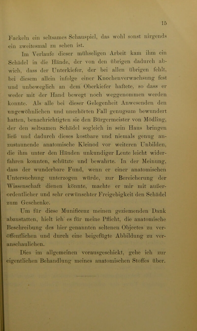 Fackeln ein seltsames Schauspiel, das wohl sonst nirgends ein zweitesmal zu sehen ist. Im Verlaufe dieser mühseligen Arbeit kam ihm ein Schädel in die Hände, der von den übrigen dadurch ab- wich, dass der Unterkiefer, der bei allen übrigen fehlt, bei diesem allein infolge einer Knochen Verwachsung fest und unbeweglich an dem Oberkiefer haftete, so dass er weder mit der Hand bewegt noch weggenommen werden konnte. Als alle bei dieser Gelegenheit Anwesenden den ungewöhnlichen und unerhörten Fall genugsam bewundert hatten, benachrichtigten sie den Bürgermeister von Mödling, der den seltsamen Schädel sogleich in sein Haus bringen lieb und dadurch dieses kostbare und niemals genug an- zustaunende anatomische Kleinod vor weiteren Unbilden, die ihm unter den Händen unkundiger Leute leicht wider- fahren konnten, schützte und bewahrte. In der Meinung, dass der wunderbare Fund, wenn er einer anatomischen Untersuchung unterzogen würde, zur Bereicherung der Wissenschaft dienen könnte, machte er mir mit außer- ordentlicher und sehr erwünschter Freigebigkeit den Schädel zum Geschenke. Um für diese Munificenz meinen geziemenden Dank abzustatten, hielt ich’ es für meine Pflicht, die anatomische Beschreibung des hier genannten seltenen Objectes zu ver- öffentlichen und durch eine beigefügte Abbildung zu ver- anschaulichen. Dies im allgemeinen vorausgeschickt, gehe ich zur eigentlichen Behandlung meines anatomischen Stoffes über.