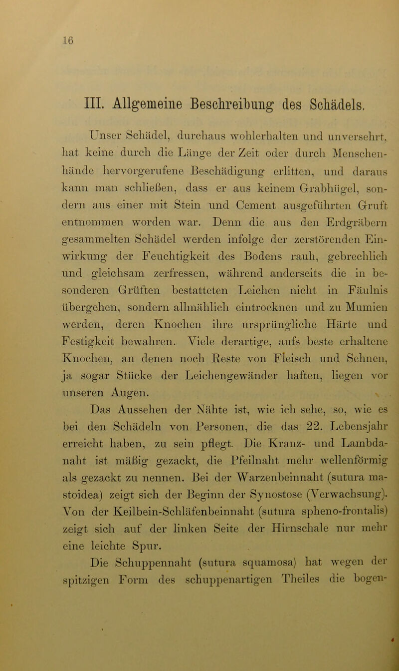 III. Allgemeine Beschreibung des Schädels. Unser Schädel, durchaus wohlerhalten und unversehrt, hat keine durch die Länge der Zeit oder durch Menschen- hände hervorgerufene Beschädigung erlitten, und daraus kann man schließen, dass er aus keinem Grabhügel, son- dern aus einer mit Stein und Cement ausgeführten Gruft entnommen worden war. Denn die aus den Erdgräbern gesammelten Schädel werden infolge der zerstörenden Ein- wirkung der Feuchtigkeit des Bodens rauh, gebrechlich und gleichsam zerfressen, während anderseits die in be- sonderen Grüften bestatteten Leichen nicht in Fäulnis übergehen, sondern allmählich eintrocknen und zu Mumien werden, deren Knochen ihre ursprüngliche Härte und Festigkeit bewahren. Viele derartige, aufs beste erhaltene Knochen, an denen noch Reste von Fleisch und Sehnen, ja sogar Stücke der Leichengewänder haften, liegen vor unseren Augen. Das Aussehen der Nähte ist, wie ich sehe, so, wie es bei den Schädeln von Personen, die das 22. Lebensjahr erreicht haben, zu sein pflegt. Die Kranz- und Lambda- nalit ist mäßig gezackt, die Pfeilnaht mehr wellenförmig als gezackt zu nennen. Bei der Warzenbeinnaht (sutura ma- stoidea) zeigt sich der Beginn der Synostose (Verwachsung). Von der Keilbein-Schläfenbeinnaht (sutura spheno-frontalis) zeigt sich auf der linken Seite der Hirnschale nur mehr eine leichte Spur. Die Schuppennaht (sutura squamosa) hat wegen der spitzigen Form des schuppenartigen Theiles die bogen- *