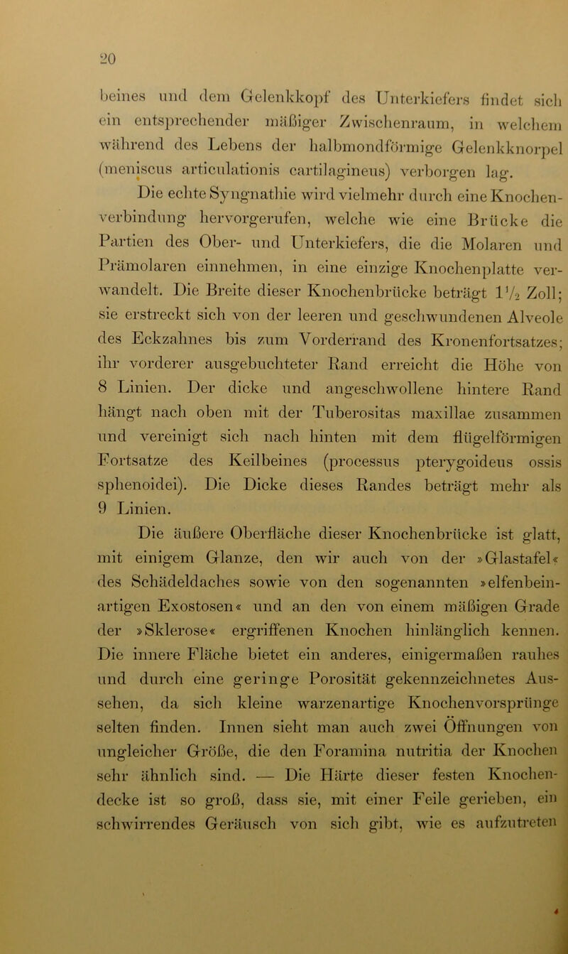 L>0 keines und dem Gelenkkopf des Unterkiefers findet sicli ein entsprechender mäßiger Zwischenraum, in welchem während des Lebens der halbmondförmige Gelenkknorpel (meniscus articulationis cartilagineus) verborgen lag. Die echte Syngnathie wird vielmehr durch eine Knochen- verbindung hervorgerufen, welche wie eine Brücke die Partien des Ober- und Unterkiefers, die die Molaren und Prämolaren einnehmen, in eine einzige Knochenplatte ver- wandelt. Die Breite dieser Knochen brücke beträgt IV2 Zoll; sie erstreckt sich von der leeren und geschwundenen Alveole des Eckzahnes bis zum Vorderrand des Kronenfortsatzes; ihr vorderer ausgebuchteter Rand erreicht die Höhe von 8 Linien. Der dicke und angeschwollene hintere Rand hängt nach oben mit der Tuberositas maxillae zusammen und vereinigt sich nach hinten mit dem flügelförmigen Fortsatze des Keilbeines (processus pterygoideus ossis sphenoidei). Die Dicke dieses Randes beträgt mehr als 9 Linien. Die äußere Oberfläche dieser Knochenbrücke ist glatt, mit einigem Glanze, den wir auch von der »Glastafel« des Schädeldaches sowie von den sogenannten »elfenbein- artigen Exostosen« und an den von einem mäßigen Grade der »Sklerose« ergriffenen Knochen hinlänglich kennen. Die innere Fläche bietet ein anderes, einigermaßen rauhes und durch eine geringe Porosität gekennzeichnetes Aus- sehen, da sich kleine warzenartige Knochenvorsprtinge selten finden. Innen sieht man auch zwei Öffnungen von ungleicher Größe, die den Foramina nutritia der Knochen sehr ähnlich sind. — Die Härte dieser festen Knochen- decke ist so groß, dass sie, mit einer Feile gerieben, ein schwirrendes Geräusch von sich gibt, wie es aufzutreten *