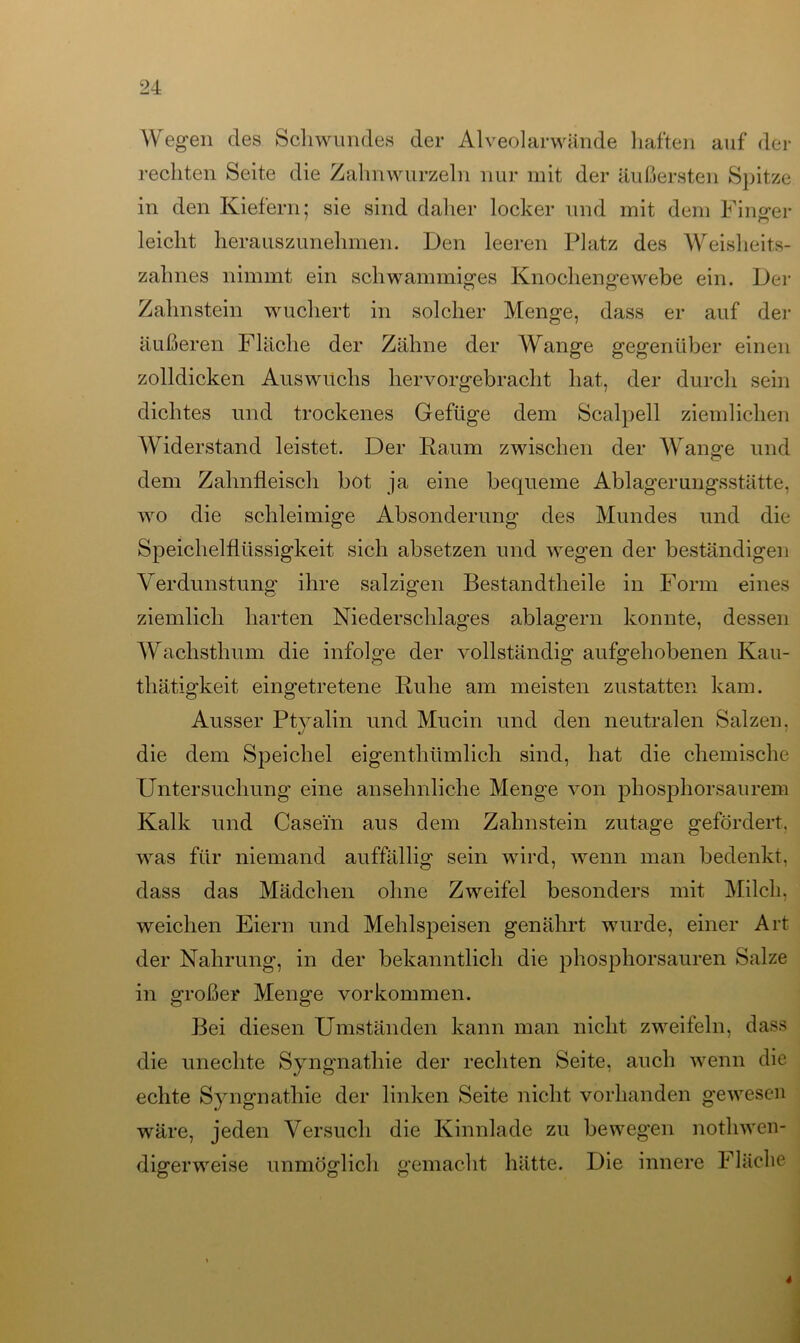Wegen des Schwundes der Alveolarwände haften auf der rechten Seite die Zahnwurzeln nur mit der äußersten Spitze in den Kiefern; sie sind daher locker und mit dem Finsrer leicht herauszunehmen. Den leeren Platz des Weisheits- zahnes nimmt ein schwammiges Knochengewebe ein. Der Zahnstein wuchert in solcher Menge, dass er auf der äußeren Fläche der Zähne der Wange gegenüber einen zolldicken Auswuchs hervorgebracht hat, der durch sein dichtes und trockenes Gefüge dem Scalpell ziemlichen Widerstand leistet. Der Raum zwischen der Wange und dem Zahnfleisch bot ja eine bequeme Ablagerungsstätte, wo die schleimige Absonderung des Mundes und die Speichelfliissigkeit sich absetzen und wegen der beständigen Verdunstung ihre salzigen Bestandtheile in Form eines ziemlich harten Niederschlages ablagern konnte, dessen Wachsthum die infolge der vollständig aufgehobenen Kau- tliätigkeit eingetretene Ruhe am meisten zustatten kam. Ausser Ptyalin und Mucin und den neutralen Salzen, die dem Speichel eigenthümlich sind, hat die chemische Untersuchung eine ansehnliche Menge von phosphorsaurem Kalk und Casein aus dem Zahnstein zutage gefördert, was für niemand auffällig sein wird, wenn man bedenkt, dass das Mädchen ohne Zweifel besonders mit Milch, weichen Eiern und Mehlspeisen genährt wurde, einer Art der Nahrung, in der bekanntlich die phosphorsauren Salze in großer Menge Vorkommen. Bei diesen Umständen kann man nicht zweifeln, dass die unechte Syngnathie der rechten Seite, auch wenn die echte Syngnathie der linken Seite nicht vorhanden gewesen wäre, jeden Versuch die Kinnlade zu bewegen nothwen- digerweise unmöglich gemacht hätte. Die innere Fläche