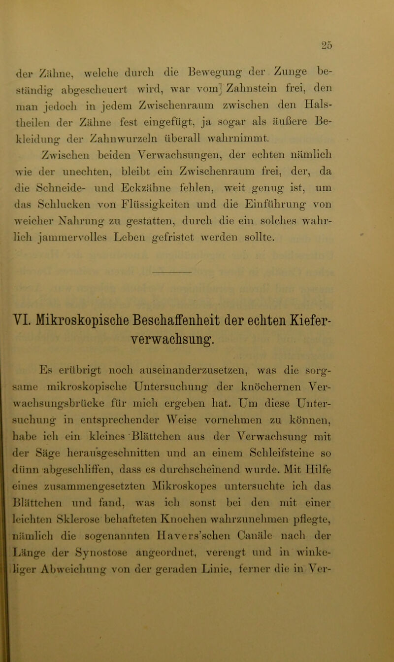 der Zähne, welche durch die Bewegung der Zunge be- ständig- abgescheuert wird, war vom] Zahnstein frei, den man jedoch in jedem Zwischenraum zwischen den Hals- theilen der Zähne fest eingefügt, ja sogar als äußere Be- kleidung der Zahnwurzeln überall wahrnimmt. Zwischen beiden Verwachsungen, der echten nämlich wie der unechten, bleibt ein Zwischenraum frei, der, da die Schneide- und Eckzähne fehlen, weit genug ist, um das Schlucken von Flüssigkeiten und die Einführung von weicher Nahrung zu gestatten, durch die ein solches wahr- lich jammervolles Leben gefristet werden sollte. VI. Mikroskopische Beschaffenheit der echten Kiefer- verwachsung. Es erübrigt noch auseinanderzusetzen, was die sorg- same mikroskopische Untersuchung der knöchernen Ver- wachsungsbrücke für mich ergeben hat. Um diese Unter- suchung in entsprechender Weise vornehmen zu können, habe ich ein kleines Blättchen aus der Verwachsung mit der Säge herausgeschnitten und an einem Schleifsteine so dünn abgeschliffen, dass es durchscheinend wurde. Mit Hilfe eines zusammengesetzten Mikroskopes untersuchte ich das Blättchen und fand, was ich sonst bei den mit einer leichten Sklerose behafteten Knochen wahrzunehmen pflegte, nämlich die sogenannten Havers’schen Canäle nach der Länge der Synostose angeordnet, verengt und in winke- liger Abweichung von der geraden Linie, ferner die in Ver-