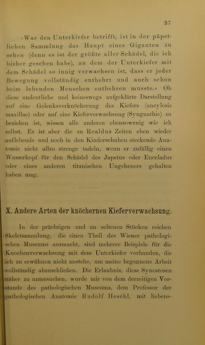 »Was den Unterkiefer betrifft, ist in der päpst- lichen Sammlung“ das Haupt eines Giganten zu sehen (denn es ist der größte aller Schädel, die ich bisher gesehen habe), an dem der Unterkiefer mit dem Schädel so innig verwachsen ist, dass er jeder Bewegung“ vollständig entbehrt und auch schon o o o beim lebenden Menschen entbehren musste.« Ob diese undeutliche und keineswegs aufgeklärte Darstellung auf eine Gelenks Verknöcherung des Kiefers (ancylosis maxillae) oder auf eine Kiefer Verwachsung (Syngnathie) zu beziehen ist, wissen alle anderen ebensowenig wie ich selbst. Es ist aber die zu Realdus Zeiten eben wieder auflebende und noch in den Kinderschuhen steckende Ana- tomie nicht allzu strenge tadeln, wenn er zufällig einen Wasserkopf für den Schädel des Japetus oder Enceladus oder eines anderen titanischen Ungeheuers gehalten haben mag. X. Andere Arten der knöchernen Kieferverwachsung. In der prächtigen und an seltenen Stücken reichen Skeletsammlung, die einen Theil des Wiener pathologi- schen Museums ausmacht, sind mehrere Beispiele für die Knochen Verwachsung mit dem Unterkiefer vorhanden, die ich zu erwähnen nicht anstehe, um meine begonnene Arbeit vollständig abzuschließen. Die Erlaubnis, diese Synostosen näher zu untersuchen, wurde mir von dem derzeitigen Vor- stande des pathologischen Museums, dem Professor der pathologischen Anatomie Rudolf ITeschl, mit liebens-