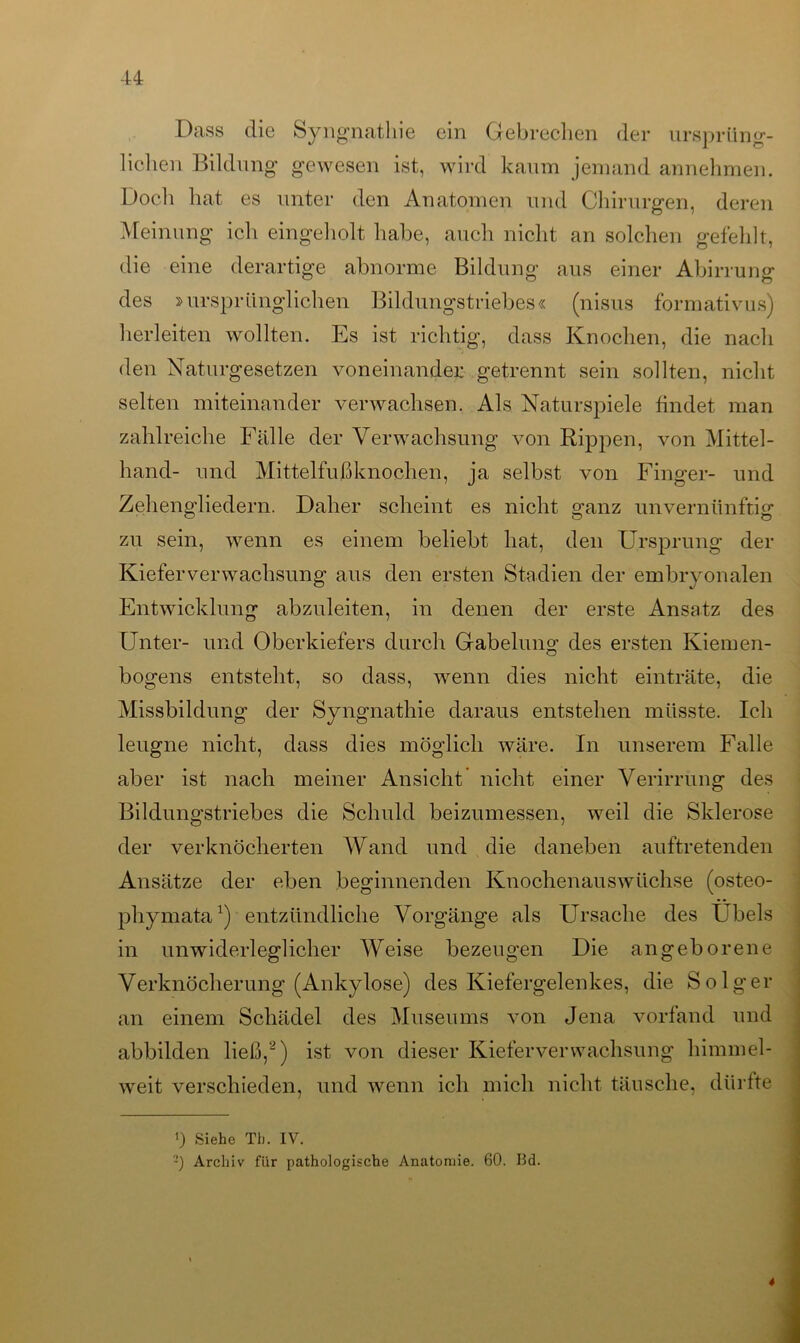 Dass die Syngnathie ein Gebrechen der ursprüng- lichen Bildung gewesen ist, wird kaum jemand annehmen. Doch hat es unter den Anatomen und Chirurgen, deren Meinung ich eingeholt habe, auch nicht an solchen gefehlt, die eine derartige abnorme Bildung aus einer Abirrung des »ursprünglichen Bildungstriebes« (nisus formativus) herleiten wollten. Es ist richtig, dass Knochen, die nach den Naturgesetzen voneinander getrennt sein sollten, nicht selten miteinander verwachsen. Als Naturspiele findet man zahlreiche Fälle der Verwachsung von Rippen, von Mittel- hand- und Mittelfußknochen, ja selbst von Finger- und Zehengliedern. Daher scheint es nicht ganz unvernünftig zu sein, wenn es einem beliebt hat, den Ursprung der Kieferverwachsung aus den ersten Stadien der embryonalen Entwicklung abzuleiten, in denen der erste Ansatz des Unter- und Oberkiefers durch Gabelung des ersten Kiemen- bogens entsteht, so dass, wenn dies nicht einträte, die Missbildung der Syngnathie daraus entstehen müsste. Ich leugne nicht, dass dies möglich wäre. In unserem Falle aber ist nach meiner Ansicht nicht einer Verirrung des Bildungstriebes die Schuld beizumessen, weil die Sklerose der verknöcherten Wand und die daneben auftretenden Ansätze der eben beginnenden Knochenauswüchse (osteo- phymata1) entzündliche Vorgänge als Ursache des Übels in unwiderleglicher Weise bezeugen Die angeborene Verknöcherung (Ankylose) des Kiefergelenkes, die Solger an einem Schädel des Museums von Jena vorfand und abbilden ließ,2) ist von dieser Kiefer Verwachsung himmel- weit verschieden, und wenn ich mich nicht täusche, dürfte ') Siehe Th. IV. 2) Archiv für pathologische Anatomie. 60. Bd. 4