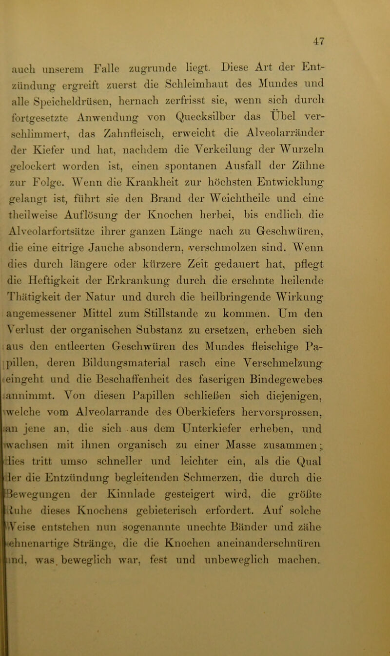auch unserem Falle zugrunde liegt. Diese Art der Ent- zündung ergreift zuerst die Schleimhaut des Mundes und alle Speicheldrüsen, hernach zerfrisst sie, wenn sich durch fortgesetzte Anwendung von Quecksilber das Übel ver- schlimmert, das Zahnfleisch, erweicht die Alveolarränder der Kiefer und hat, nachdem die Verkeilung der Wurzeln gelockert worden ist, einen spontanen Ausfall der Zähne zur Folge. Wenn die Krankheit zur höchsten Entwicklung gelangt ist, führt sie den Brand der Weichtheile und eine tlieilweise Auflösung der Knochen herbei, bis endlich die Alveolarfortsätze ihrer ganzen Länge nach zu Geschwüren, die eine eitrige Jauche absondern, verschmolzen sind. Wenn dies durch längere oder kürzere Zeit gedauert hat, pflegt die Heftigkeit der Erkrankung durch die ersehnte heilende Thätigkeit der Natur und durch die heilbringende Wirkung angemessener Mittel zum Stillstände zu kommen. Um den Verlust der organischen Substanz zu ersetzen, erheben sich aus den entleerten Geschwüren des Mundes fleischige Pa- pillen, deren Bildungsmaterial rasch eine Verschmelzung ■ eingeht und die Beschaffenheit des faserigen Bindegewebes annimmt. Von diesen Papillen schließen sich diejenigen, welche vom Alveolarrande des Oberkiefers hervorsprossent an jene an, die sich aus dem Unterkiefer erheben, und wachsen mit ihnen organisch zu einer Masse zusammen;, lies tritt umso schneller und leichter ein, als die Qual ler die Entzündung begleitenden Schmerzen, die durch die Bewegungen der Kinnlade gesteigert wird, die größte tu he dieses Knochens gebieterisch erfordert. Auf solche Weise entstehen nun sogenannte unechte Bänder und zähe kehnenartige Stränge, die die Knochen aneinanderschnüren und, was. beweglich war, fest und unbeweglich machen.