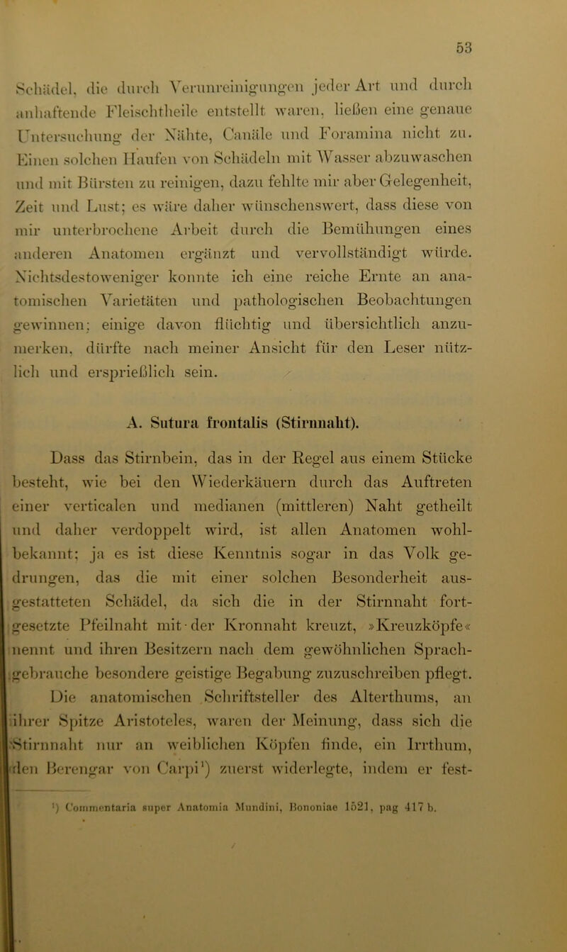 Schädel, die durch Verunreinigungen jeder Art und durch anhaftende Fleischtheile entstellt waren, ließen eine genaue Untersuchung der Xlihte, Canäle und I oramina nicht zu. Einen solchen Haufen von Schädeln mit Wasser abzuwaschen und mit Bürsten zu reinigen, dazu fehlte mir aber Gelegenheit, Zeit und Lust; es wäre daher wünschenswert, dass diese von mir unterbrochene Arbeit durch die Bemühungen eines anderen Anatomen ergänzt und vervollständigt würde. Nichtsdestoweniger konnte ich eine reiche Ernte an ana- tomischen Varietäten und pathologischen Beobachtungen gewinnen: einige davon flüchtig und übersichtlich anzu- merken. dürfte nach meiner Ansicht für den Leser nütz- lich und ersprießlich sein. A. Sutura frontalis (Stirnnalit). Dass das Stirnbein, das in der Regel aus einem Stücke besteht, wie bei den Wiederkäuern durch das Auftreten einer verticalen und medianen (mittleren) Naht getheilt und daher verdoppelt wird, ist allen Anatomen wohl- bekannt; ja es ist diese Kenntnis sogar in das Volk ge- drungen, das die mit einer solchen Besonderheit aus- gestatteten Schädel, da sich die in der Stirnnaht fort- gesetzte Pfeilnaht mit der Kronnaht kreuzt, »Kreuzköpfe« nennt und ihren Besitzern nach dem gewöhnlichen Sprach- Igebrauche besondere geistige Begabung zuzuschreiben pflegt. Die anatomischen Schriftsteller des Alterthums, an ihrer Spitze Aristoteles, waren der Meinung, dass sich die 'Stirnnaht nur an weiblichen Köpfen finde, ein Irrthum, den Berengar von Carpi1) zuerst widerlegte, indem er fest- >) Commentaria super Anatomia Mundini, Bononiae 1521, pag 417 b.