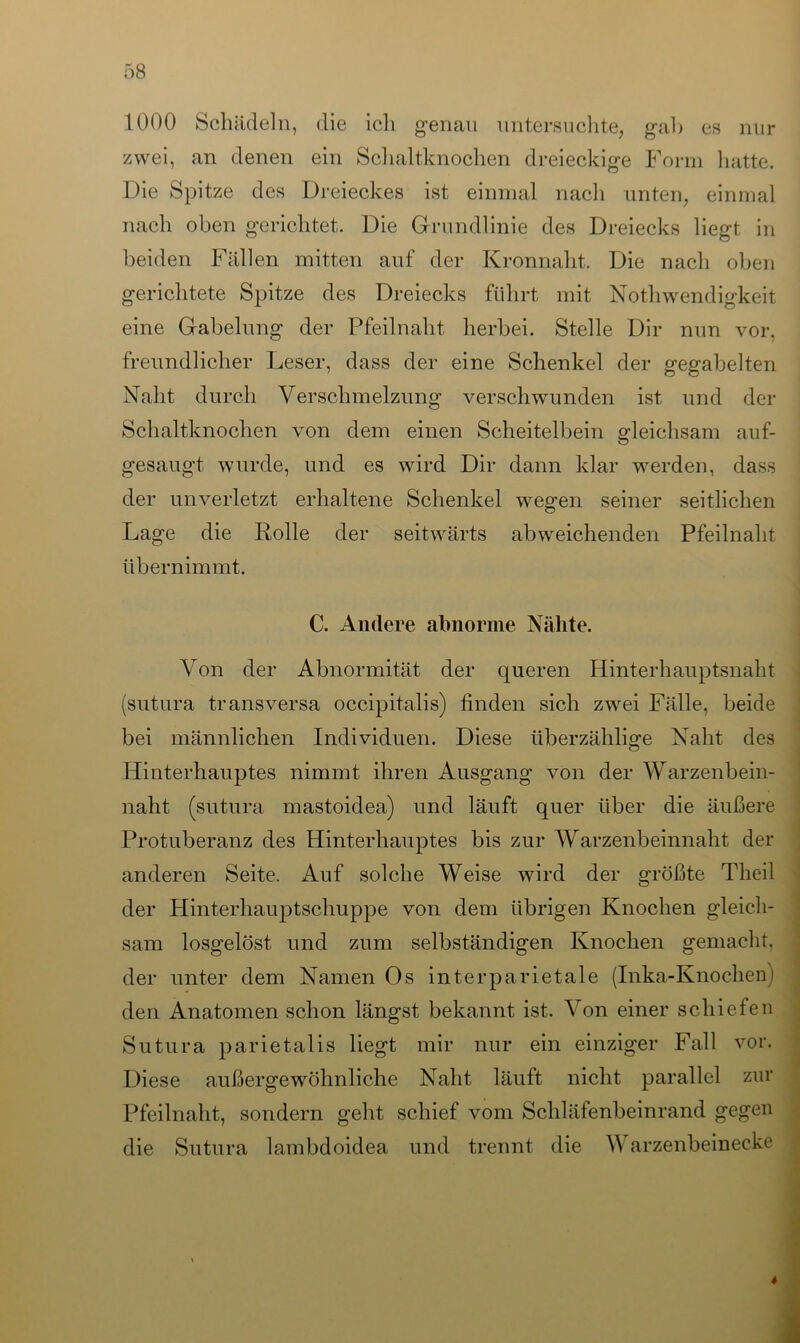 1000 Schädeln, die ich genau untersuchte, gab es nur zwei, an denen ein Schaltknochen dreieckige Form hatte. Die Spitze des Dreieckes ist einmal nach unten, einmal nach oben gerichtet. Die Grundlinie des Dreiecks liegt in beiden Fällen mitten auf der Kronnaht. Die nach oben gerichtete Spitze des Dreiecks führt mit Nothwendigkeit eine Gabelung der Pfeilnaht herbei. Stelle Dir nun vor, freundlicher Leser, dass der eine Schenkel der gegabelten Naht durch Verschmelzung verschwunden ist und der Schaltknochen von dem einen Scheitelbein gleichsam auf- gesaugt wurde, und es wird Dir dann klar werden, dass der unverletzt erhaltene Schenkel wegen seiner seitlichen Lage die Rolle der seitwärts abweichenden Pfeilnaht übernimmt. C. Andere abnorme Nähte. Von der Abnormität der queren Hinterhauptsnaht (sutura transversa occipitalis) finden sich zwei Fälle, beide bei männlichen Individuen. Diese überzählige Naht des Hinterhauptes nimmt ihren Ausgang von der Warzenbein- naht (sutura mastoidea) und läuft quer über die äußere Protuberanz des Hinterhauptes bis zur Warzenbeinnaht der anderen Seite. Auf solche Weise wird der größte Theil der Hinterhauptschuppe von dem übrigen Knochen gleich- sam losgelöst und zum selbständigen Knochen gemacht, der unter dem Namen Os interparietale (Inka-Knochen) den Anatomen schon längst bekannt ist. Von einer schiefen Sutura parietalis liegt mir nur ein einziger Fall vor. Diese außergewöhnliche Naht läuft nicht parallel zur Pfeilnaht, sondern geht schief vom Schläfenbeinrand gegen die Sutura lambdoidea und trennt die Warzenbeinecke