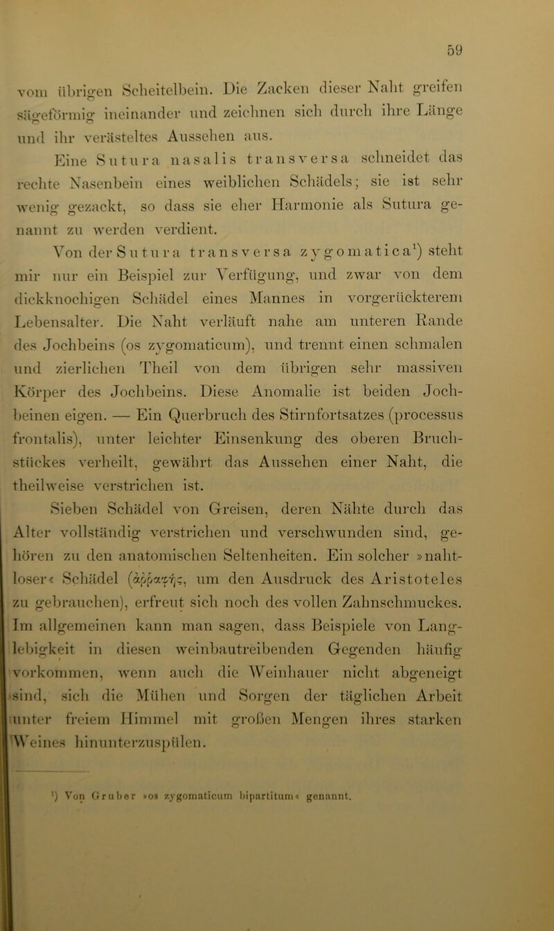 vom übrigen Scheitelbein. Die Zacken dieser Nabt gleiten siio*etbrmi°- ineinander und zeichnen sich durch ihre Länge Ö Ö und ihr verästeltes Aussehen aus. Eine S u t u r a n a s a 1 i s t r a nsve r s a sei meidet das rechte Nasenbein eines weiblichen Schädels; sie ist sehr wenig gezackt, so dass sie eher Harmonie als Sutura ge- nannt zu werden verdient. Von der S u t u ra transversa zygomatica1) steht mir nur ein Beispiel zur Verfügung, und zwar von dem dickknochigen Schädel eines Mannes in vorgerückterem Lebensalter. Die Naht verläuft nahe am unteren Rande des Jochbeins (os zygomaticum), und trennt einen schmalen und zierlichen Theil von dem übrigen sehr massiven Körper des Jochbeins. Diese Anomalie ist beiden Joch- beinen eigen. — Ein Querbruch des Stirnfortsatzes (processus frontalis), unter leichter Einsenkung des oberen Bruch- stückes verheilt, gewährt das Aussehen einer Naht, die theilweise verstrichen ist. Sieben Schädel von Greisen, deren Nähte durch das Alter vollständig verstrichen und verschwunden sind, ge- hören zu den anatomischen Seltenheiten. Ein solcher »naht- loser« Schädel (appa'f/jc, um den Ausdruck des Aristoteles zu gebrauchen), erfreut sich noch des vollen Zahnschmuckes. Im allgemeinen kann man sagen, dass Beispiele von Lang- lebigkeit in diesen weinbautreibenden Gegenden häufig Vorkommen, wenn auch die Weinbauer nicht abgeneigt sind, sich die Mühen und Sorgen der täglichen Arbeit unter freiem Himmel mit großen Mengen ihres starken Weines hinunterzu spülen. ') Von Gruber »os zygomaticiun bipartituin« genannt.