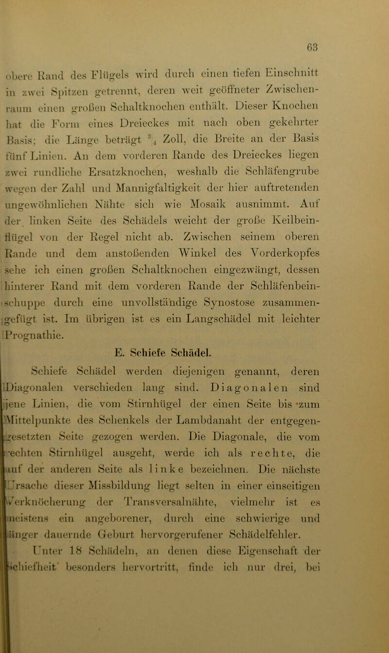 obere Rand des Flügels wird durch einen tiefen Einschnitt in zwei Spitzen getrennt, deren weit geöffneter Zwischen- raum einen großen Schaltknochen enthält. Dieser Knochen hat die Form eines Dreieckes mit nach oben gekehrter Basis; die Länge beträgt 34 Zoll, die Breite an der Basis fünf Linien. An dem vorderen Rande des Dreieckes liegen zwei rundliche Ersatzknochen, weshalb die Schläfengrube wegen der Zahl und Mannigfaltigkeit der hier auftretenden ungewöhnlichen Nähte sieh wie Mosaik ausnimmt. Auf O der linken Seite des Schädels weicht der große Keilbein- flügel von der Regel nicht ab. Zwischen seinem oberen Rande und dem anstoßenden Winkel des Vorderkopfes sehe ich einen großen Schaltknochen eingezwängt, dessen hinterer Rand mit dem vorderen Rande der Schläfenbein- schuppe durch eine unvollständige Synostose zusammen- gefügt ist. Im übrigen ist es ein Langschädel mit leichter Prognathie. E. Schiefe Schädel. Schiefe Schädel werden diejenigen genannt, deren Diagonalen verschieden lang sind. Diagonalen sind jene Linien, die vom Stirnhügel der einen Seite bis *zum Mittelpunkte des Schenkels der Lambdanaht der entgegen- .gesetzten Seite gezogen werden. Die Diagonale, die vom rechten Stirnhügel ausgeht, werde ich als rechte, die auf der anderen Seite als linke bezeichnen. Die nächste ILTsache dieser Missbildung liegt selten in einer einseitigen i/erknöcherung der Transversal nähte, vielmehr ist es ■meistens ein angeborener, durch eine schwierige und länger dauernde Geburt hervorgerufener Schädelfehler. Unter 18 Schädeln, an denen diese Eigenschaft der l»chiefheit’ besonders her vortritt, finde ich nur drei, bei