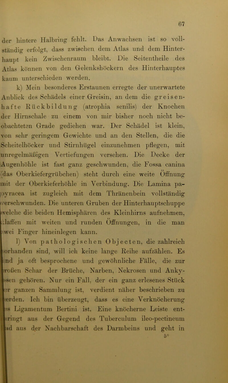 der hintere Halbring fehlt. Das Anwachsen ist so voll- ständig erfolgt, dass zwischen dem Atlas und dem Hinter- haupt kein Zwischenraum bleibt. Die Seitentlieile des Atlas können von den Gelenkshöckern des Hinterhauptes kaum unterschieden werden. k) Mein besonderes Erstaunen erregte der unerwartete Anblick des Schädels einer Greisin, andern die greisen- hafte Rückbildung (atrophia senilis) der Knochen der Hirnschale zu einem von mir bisher noch nicht be- obachteten Grade gediehen war. Der Schädel ist klein, von sehr geringem Gewichte und an den Stellen, die die Scheitelhöcker und Stirnhügel einzunehmen pflegen, mit unregelmäßigen Vertiefungen versehen. Die Decke der Augenhöhle ist fast ganz geschwunden, die Fossa canina klas Oberkiefergrübchen) steht durch eine weite Öffnung mit der Oberkieferhöhle in Verbindung. Die Lamina pa- I jyracea ist zugleich mit dem Thränenbein vollständig werschwunden. Die unteren Gruben der Hinterhauptschuppe welche die beiden Hemisphären des Kleinhirns aufnehmen, Haften mit weiten und runden Öffnungen, in die man vwei Finger hineinlegen kann. 1) Von pathologischen Objecten, die zahlreich orhanden sind, will ich keine lange Reihe aufzählen. Es nd ja oft besprochene und gewöhnliche Fälle, die zur :roßen Schar der Brüche, Narben, Nekrosen und Anky- j'Sen gehören. Nur ein Fall, der ein ganz erlesenes Stück | ir ganzen Sammlung ist, verdient näher beschrieben zu erden. Teil bin überzeugt, dass es eine Verknöcherung ?s Ligamentum Bertini ist. Eine knöcherne Leiste ent- ringt aus der Gegend des Tuberculum ileo-pectineum nd aus der Nachbarschaft des Darmbeins und geht in ö*