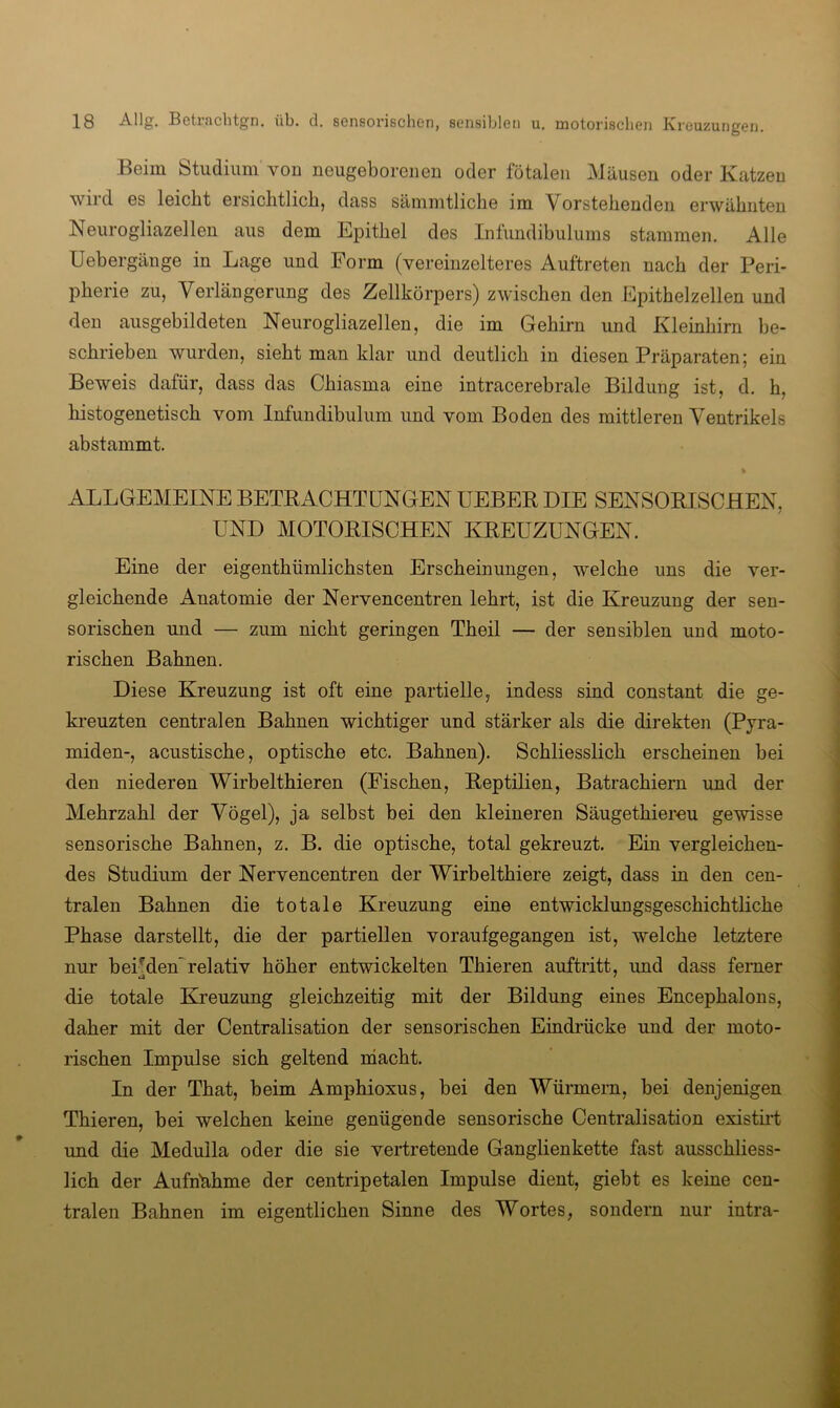 Beim btiidium vou neugeborenen oder fötalen Mäusen oder Katzen wird es leicht ersichtlich, dass säinmtliche im Vorstehenden erwähnten Neurogliazellen aus dem Epithel des Infundibulums stammen. Alle Uebergänge in Lage und Form (vereinzelteres Auftreten nach der Peri- pherie zu, Verlängerung des Zellkörpers) zwischen den Epithelzellen und den ausgebildeten Neurogliazellen, die im Gehirn und Kleinhirn be- schrieben wurden, sieht man klar und deutlich in diesen Präparaten; ein Beweis dafür, dass das Chiasma eine intracerebrale Bildung ist, d. h, histogenetisch vom Infundibulum und vom Boden des mittleren Ventrikels abstammt. ALLGEMEINE BETBACHTüNGEN LEBER DIE SENSORISCHEN, UND MOTORISCHEN KREUZUNGEN. Eine der eigenthümlichsten Erscheinungen, welche uns die ver- gleichende Anatomie der Nervencentren lehrt, ist die Kreuzung der sen- sorischen und — zum nicht geringen Theil — der sensiblen und moto- rischen Bahnen. Diese Kreuzung ist oft eine partielle, indess sind constant die ge- kreuzten centralen Bahnen wichtiger und stärker als die direkten (Pyra- miden-, acustische, optische etc. Bahnen). Schliesslich erscheinen bei den niederen Wirbelthieren (Fischen, Reptilien, Batrachiern und der Mehrzahl der Vögel), ja selbst bei den kleineren Säugethiereu gewisse sensorische Bahnen, z. B. die optische, total gekreuzt. Ein vergleichen- des Studium der Nervencentren der Wirbelthiere zeigt, dass in den cen- tralen Bahnen die totale Kreuzung eine entwicklungsgeschichtliche Phase darstellt, die der partiellen voraufgegangen ist, welche letztere nur bei^den'relativ höher entwickelten Thieren auftritt, und dass ferner die totale B^euzung gleichzeitig mit der Bildung eines Encephalons, daher mit der Centralisation der sensorischen Eindrücke und der moto- rischen Impulse sich geltend macht. In der That, beim Amphioxus, bei den Würmern, bei denjenigen Thieren, bei welchen keine genügende sensorische Centralisation existirt und die Medulla oder die sie vertretende Ganglienkette fast ausschliess- lich der Aufntihme der centripetalen Impulse dient, giebt es keine cen- tralen Bahnen im eigentlichen Sinne des Wortes, sondern nur intra-