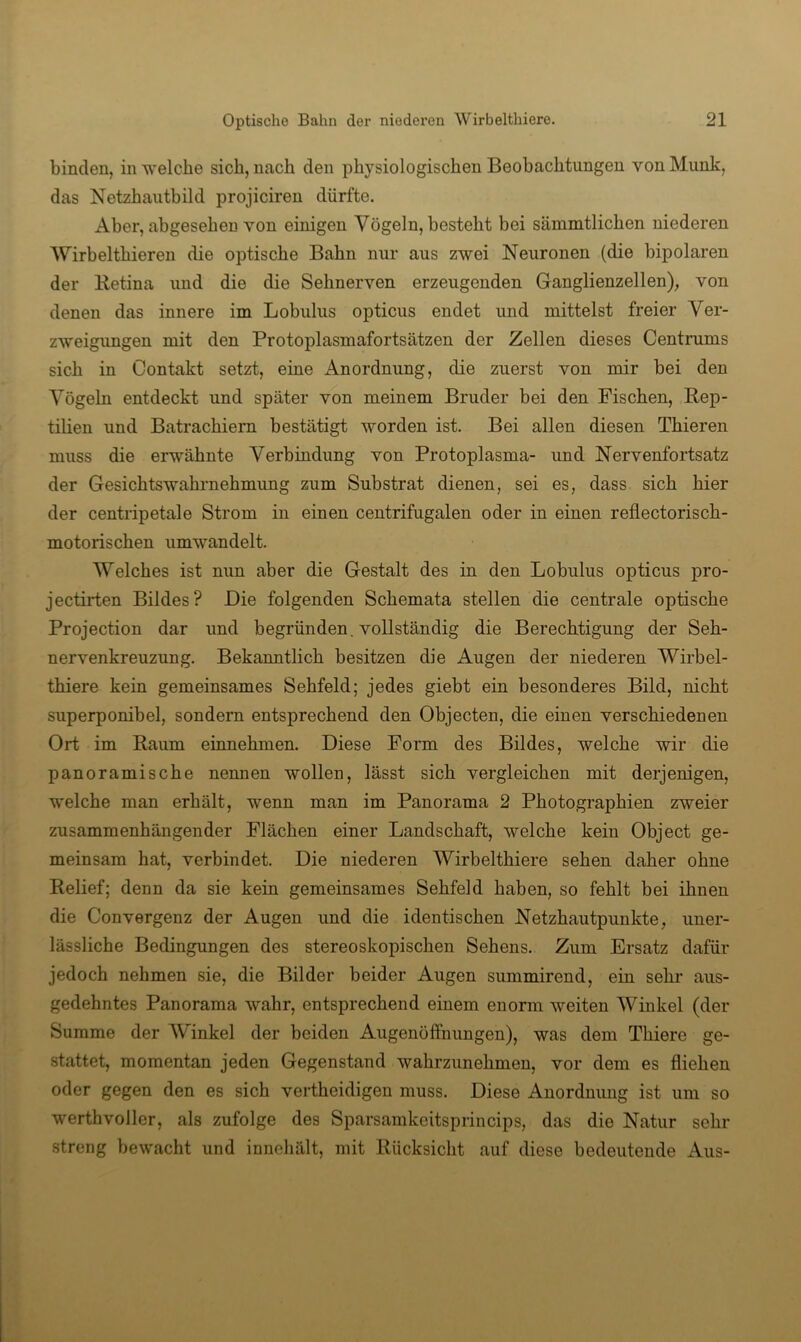 binden, in welche sich, nach den physiologischen Beobachtungen von Munk, das Netzhautbild projiciren dürfte. Aber, abgesehen von einigen Vögeln, besteht bei sämmtlichen niederen Wirbelthieren die optische Bahn nur aus zwei Neuronen (die bipolaren der Retina und die die Sehnerven erzeugenden Ganglienzellen), von denen das innere im Lobulus opticus endet und mittelst freier Ver- zweigungen mit den Protoplasmafortsätzen der Zellen dieses Centrums sich in Contakt setzt, eine Anordnung, die zuerst von mir bei den Vögeln entdeckt und später von meinem Bruder bei den Fischen, Rep- tilien und Batrachiern bestätigt worden ist. Bei allen diesen Thieren muss die erwähnte Verbindung von Protoplasma- und Nervenfortsatz der Gesichtswahrnehmung zum Substrat dienen, sei es, dass sich hier der centripetale Strom in einen centrifugalen oder in einen reflectorisch- motorischen umwandelt. Welches ist nun aber die Gestalt des in den Lobulus opticus pro- jectirten Bildes? Die folgenden Schemata stellen die centrale optische Projection dar und begründen, vollständig die Berechtigung der Seh- nervenkreuzung. Bekanntlich besitzen die Augen der niederen Wirbel- thiere kein gemeinsames Sehfeld; jedes giebt ein besonderes Bild, nicht superponibel, sondern entsprechend den Objecten, die einen verschiedenen Ort im Raum einnehmen. Diese Form des Bildes, welche wir die panoramische nennen wollen, lässt sich vergleichen mit derjenigen, welche man erhält, wenn man im Panorama 2 Photographien zweier zusammenhängender Flächen einer Landschaft, welche kein Object ge- meinsam hat, verbindet. Die niederen Wirbelthiere sehen daher ohne Relief; deun da sie kein gemeinsames Sehfeld haben, so fehlt bei ihnen die Convergenz der Augen und die identischen Netzhautpunkte, uner- lässliche Bedingungen des stereoskopischen Sehens. Zum Ersatz dafür jedoch nehmen sie, die Bilder beider Augen summirend, ein sehr aus- gedehntes Panorama wahr, entsprechend einem enorm weiten Winkel (der Summe der Winkel der beiden Augenöffnungen), was dem Thiere ge- stattet, momentan jeden Gegenstand wahrzunehmen, vor dem es fliehen oder gegen den es sich vertheidigen muss. Diese Anordnung ist um so werthvoller, als zufolge des Sparsamkeitsprincips, das die Natur sehr streng bewacht und innehält, mit Rücksicht auf diese bedeutende Aus-