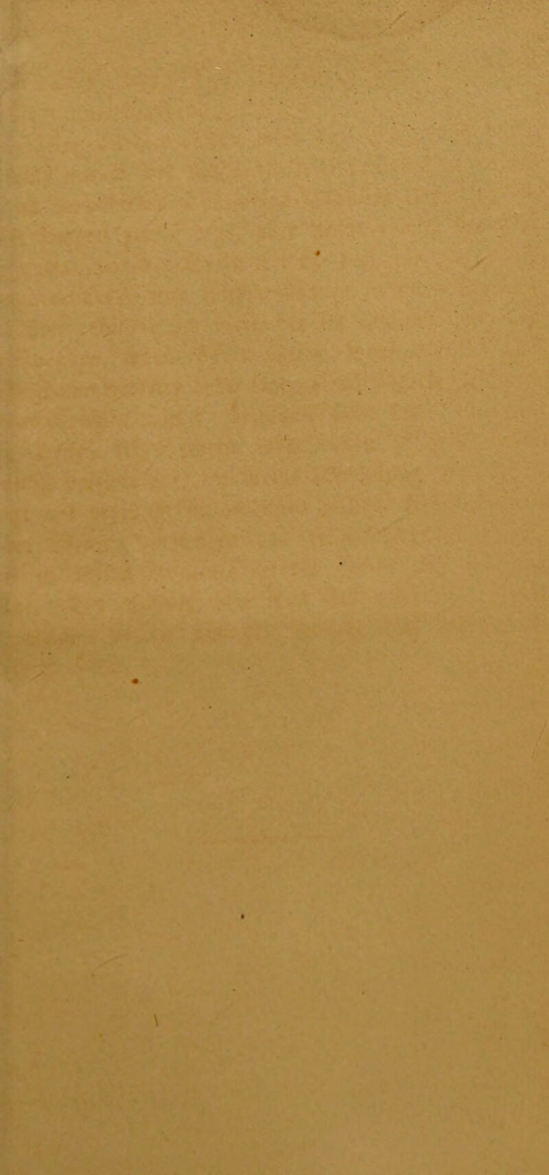 ^i!*i< ■•fc’v' ■■■• i»'. ■ - ' .•-■.** < >•' •i'r -'.vl :A «> . *r r-< i