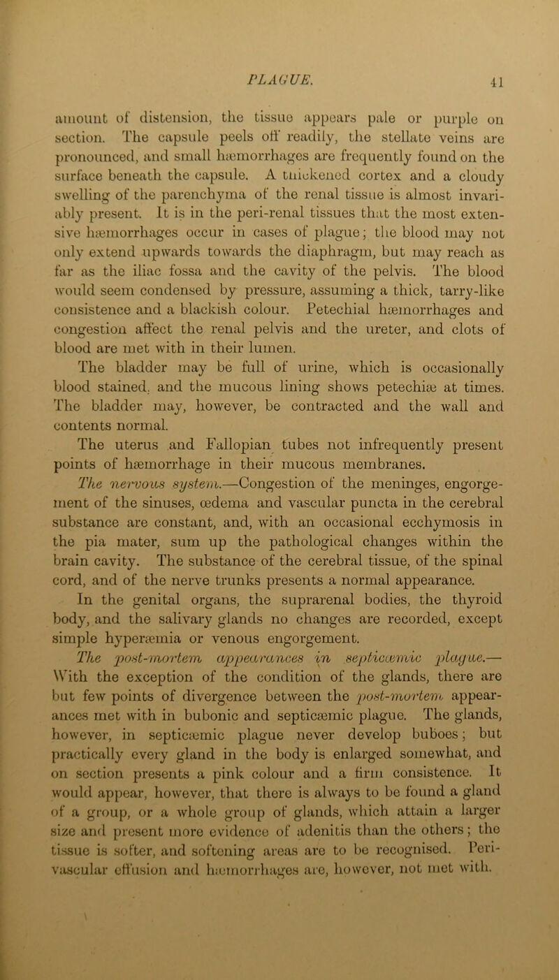 amount of distension, the tissue appears pale or purple on section. The capsule peels oh readily, the stellate veins are pronounced, and small hiernorrhages are frequently found on the surface beneath the capsule. A tnickened cortex and a cloudy swelling of the parenchyma of the renal tissue is almost invari- ably present. It is in the peri-renal tissues that the most exten- sive luemorrhages occur in cases of plague; the blood may not only extend upwards towards the diaphragm, but may reach as far as the iliac fossa and the cavity of the pelvis. The blood would seem condensed by pressure, assuming a thick, tarry-like consistence and a blackish colour. Petechial hiemorrhages and congestion affect the renal pelvis and the ureter, and clots of blood are met with in their lumen. The bladder may be full of urine, which is occasionally blood stained, and the mucous lining shows petechiaj at times. The bladder may, however, be contracted and the wall and contents normal. The uterus and Fallopian tubes not infrequently present points of haemorrhage in their mucous membranes. The nei'vous system.—Congestion of the meninges, engorge- ment of the sinuses, oedema and vascular puncta in the cerebral substance are constant, and, with an occasional ecchymosis in the pia mater, sum up the pathological changes within the brain cavity. The substance of the cerebral tissue, of the spinal cord, and of the nerve trunks presents a normal appearance. In the genital organs, the suprarenal bodies, the thyroid body, and the salivary glands no changes are recorded, except simple hypersemia or venous engorgement. The post-mortem cq^pearances in septiaemic plopiLc.— With the exception of the condition of the glands, there are but few points of divergence between the post-mortem appear- ances met with in bubonic and septiciemic plague. The glands, however, in septiciemic plague never develop buboes; but practically every gland in the body is enlarged somewhat, and on section presents a pink colour and a firm consistence. It would appear, however, that there is always to be found a gland of a group, or a whole group of glands, which attain a larger size and present more evidence of adenitis than the others; the ti.ssue is .softer, and softening areas are to be recognised. Peri- vascular effu.sion and hiemorrhages are, however, not mot with.