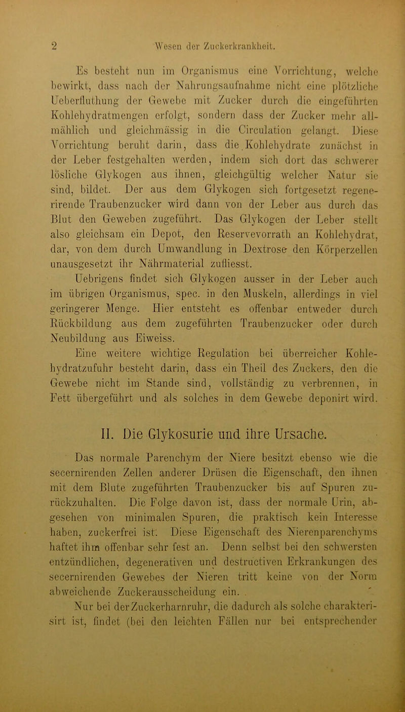 Es besteht mm im Organismus eine Vorriclitimg, welclie bewirkt, dass nach der Nalirungsaufnahme niclit eine plötzliche Ueberlluthimg der Gewebe mit Zucker durch die eingeführten Kohlehydratmengen erfolgt, sondern dass der Zucker mehr all- mählich und glcichmässig in die Circulation gelangt. Diese Vorrichtung beruht darin, dass die.Kohlehydrate zunächst in der Leber festgehalten werden, indem sich dort das schwerer lösliche Glykogen aus ihnen, gleichgültig welcher Natur sie sind, bildet. Der aus dem Glykogen sich fortgesetzt regene- rirende Traubenzucker wird dann von der Leber aus durch das Blut den Geweben zugeführt. Das Glykogen der Leber stellt also gleichsam ein Depot, den Reservevorrath an Kohlehydrat, dar, von dem durch Umwandlung in Dextrose den Körperzellen unausgesetzt ihr Nährmaterial zufliesst. Uebrigens findet sich Glykogen ausser in der Leber auch im übrigen Organismus, spec. in den Muskeln, allerdings in viel geringerer Menge. Liier entsteht es offenbar entweder durch Rückbildung aus dem zugeführten Traubenzucker oder durch Neubildung aus Eiweiss. Eine weitere wichtige Regulation bei überreicher Kohle- hydratzufuhr besteht darin, dass ein Theil des Zuckers, den die Gewebe nicht im Stande sind, vollständig zu verbrennen, in Fett übergeführt und als solches in dem Gewebe deponirt wird. IL Die Glykosurie und ilire Ursache. Das normale Parenchym der Niere besitzt ebenso wie die secernirenden Zellen anderer Drüsen die Eigenschaft, den ihnen mit dem Blute zugeführten Traubenzucker bis auf Spuren zu- rückzuhalten. Die Folge davon ist, dass der normale Urin, ab- gesehen von minimalen Spuren, die praktisch kein Interesse haben, zuckerfrei ist: Diese Eigenschaft des Nierenparenchyms haftet ihm offenbar sehr fest an. Denn selbst bei den schwersten entzündlichen, degenerativen und destructiven Erkrankungen des secernirenden Gewebes der Nieren tritt keine von der Norm abweichende Zuckerausscheidung ein. , Nur bei der Zuckerharnruhr, die dadurch als solche charakteri- sirt ist, findet (bei den leichten Fällen nur bei entsprechender