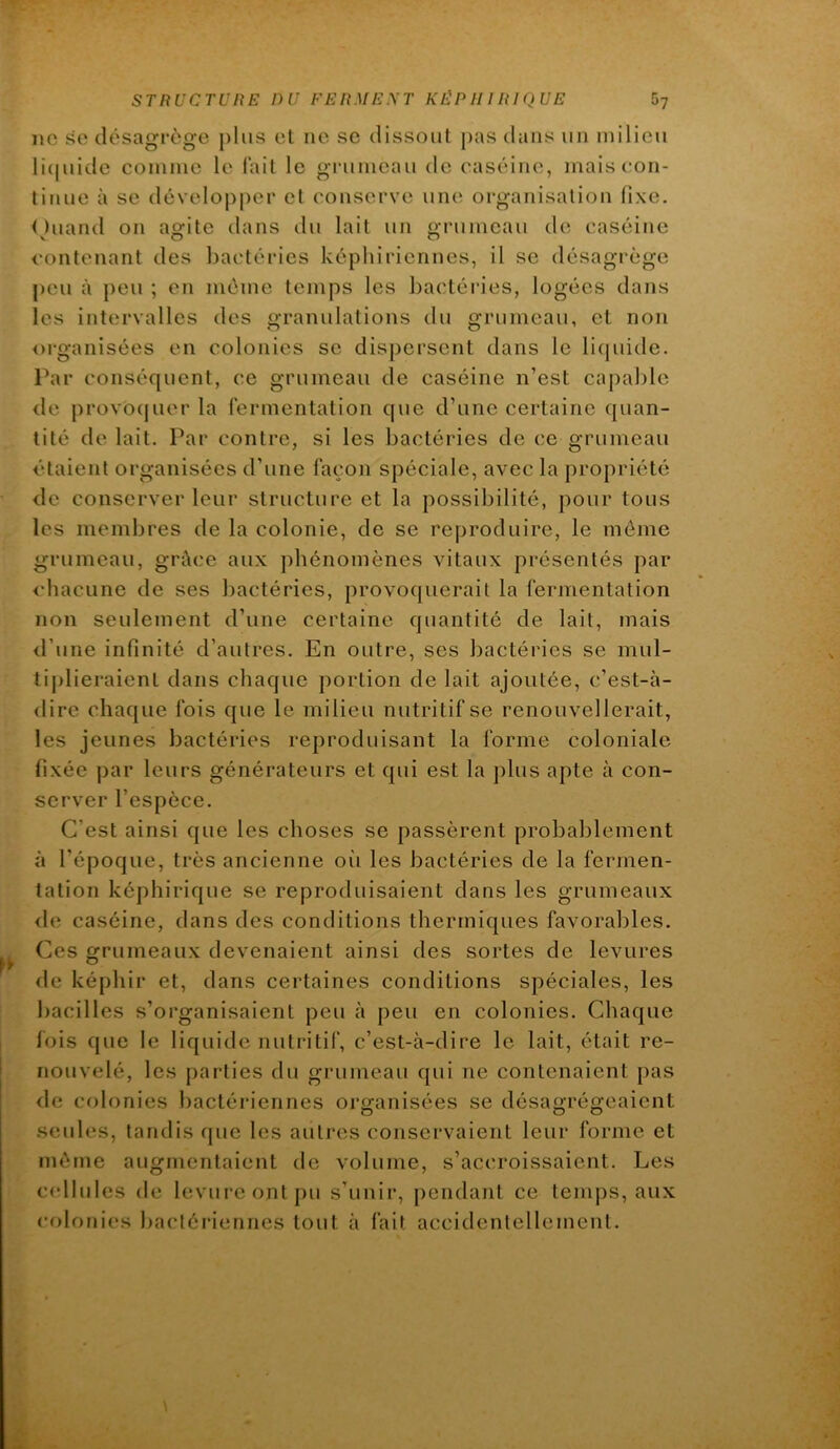 ne se désagrège plus et ne se dissout j)as dans un milieu li(|uide comme le fait le grumeau de caséine, maiscon- titiue à se développer et conserve une organisation fixe, Ouand on aofite dans du lait un (grumeau de caséine contenant des bactéries képhiricnnes, il se désagrège peu à peu ; en môme temps les bactéi’ies, logées dans les intervalles des o’ranulations du o;runieau, et non oi-ganisées en colonies se dispersent dans le li(piide. Par conséfjuent, ce grumeau de caséine n’est capa])lc de provo(juer la fermentation que d’une certaine quan- tité de lait. Par contre, si les bactéries de ce grumeau étaient organisées d’une façon spéciale, avec la propriété de conserver leur structure et la possibilité, pour tous les membres de la colonie, de se reproduire, le même grumeau, grâce aux phénomènes vitaux présentés par chacune de ses bactéries, provoquerait la fermentation non seulement d’une certaine quantité de lait, mais d’une infinité d’autres. En outre, ses bactéries se mul- tiplieraient dans chaque portion de lait ajoutée, c’est-à- dire chaque fois que le milieu nutritif se renouvellerait, les jeunes bactéries reproduisant la forme coloniale fixée par leurs générateurs et qui est la plus apte à con- server l’espèce. C’est ainsi que les choses se passèrent probablement à l’époque, très ancienne oii les bactéries de la fermen- tation képhirique se reproduisaient dans les grumeaux <le caséine, dans des conditions thermiques favorables. Ces grumeaux devenaient ainsi des sortes de levures <le képhir et, dans certaines conditions spéciales, les bacilles s’organisaient peu à peu en colonies. Chaque fois que le liquide nutritif, c’est-à-dire le lait, était re- nouvelé, les parties du grumeau qui ne contenaient pas <le colonies bactériennes orü:anisées se désagrégeaient .seules, tandis que les autres conservaient leur forme et même augmentaient de volume, s’accroissaient. Les cellules de levure ont pu s’unir, pendant ce temps, aux colonies bactériennes tout à fait accidentellement.