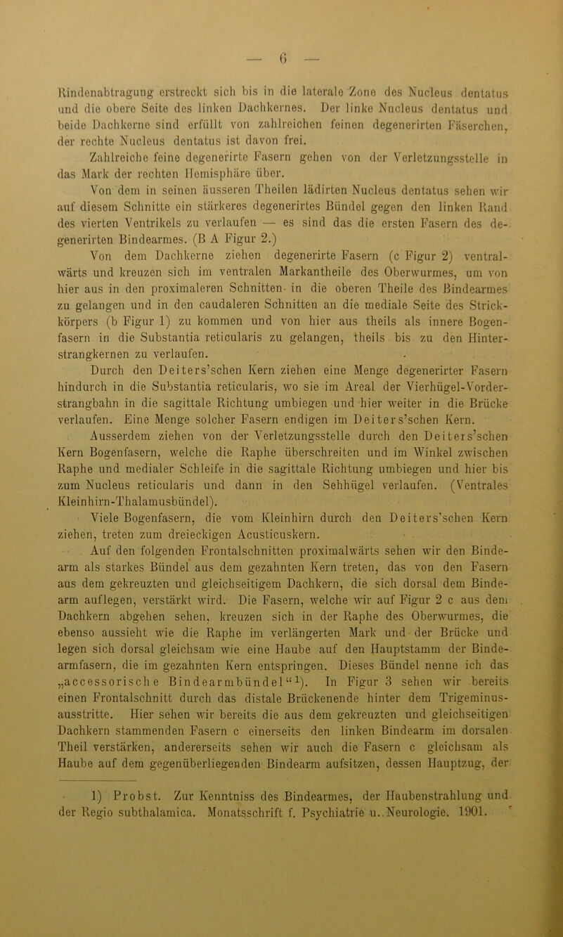 und die obere Seite des linken Dachkernes. Der linke Nucleus dentatus und beide Dachkorne sind erfüllt von zahlreichen feinen degenerirten Fäserchen, der rechte Nucleus dentatus ist davon frei. Zahlreiche feine degenerirte Fasern gehen von der Verletzungsstelle in das Mark der rechten Hemisphäre über. Von dem in seinen äusseren Theilen lädirten Nucleus dentatus sehen wir auf diesem Schnitte ein stärkeres degenerirtes Bündel gegen den linken Rand des vierten Ventrikels zu verlaufen — es sind das die ersten Fasern des de- generirten Bindearmes. (B A Figur 2.) Von dem Dachkerne ziehen degenerirte Fasern (c Figur 2) ventral- wärts und kreuzen sich im ventralen Markantheile des Oberwurmes, um von hier aus in den proximaleren Schnitten- in die oberen Theile des Bindearmes zu gelangen und in den caudaleren Schnitten an die mediale Seite des Strick- körpers (b Figur 1) zu kommen und von hier aus theils als innere Bogen- fasern in die Substantia reticularis zu gelangen, theils bis zu den Hinter- strangkernen zu verlaufen. Durch den Dei ters’schen Kern ziehen eine Menge degenerirter Fasern hindurch in die Substantia reticularis, wo sie im Areal der Vierhügel-Vorder- strangbahn in die sagittale Richtung umbiegen und hier weiter in die Brücke verlaufen. Eine Menge solcher Fasern endigen im Dei ters’schen Kern. Ausserdem ziehen von der Verletzungsstelle durch den Dei ters’schen Kern Bogenfasern, welche die Raphe überschreiten und im Winkel zwischen Raphe und medialer Schleife in die sagittale Richtung umbiegen und hier bis zum Nucleus reticularis und dann in den Sehhügel verlaufen. (Ventrales Kleinhirn-Thalamusbiindel). Viele Bogenfasern, die vom Kleinhirn durch den Deiters’schen Kern ziehen, treten zum dreieckigen Acusticuskern. Auf den folgenden Frontalschnitten proximalwärts sehen wir den Binde- arm als starkes Bündel aus dem gezahnten Kern treten, das von den Fasern aus dem gekreuzten und gleichseitigem Dachkern, die sich dorsal dem Binde- arm auflegen, verstärkt wird. Die Fasern, welche wir auf Figur 2 c aus dem Dachkern abgehen sehen, kreuzen sich in der Raphe des Oberwurmes, die ebenso aussieht wie die Raphe im verlängerten Mark und der Brücke und legen sich dorsal gleichsam wie eine Haube auf den Hauptstamm der Biude- armfasern, die im gezahnten Kern entspringen. Dieses Bündel nenne ich das „accessorische Bindearmbündel“1). In Figur 3 sehen wir bereits einen Frontabschnitt durch das distale Brückenende hinter dem Trigeminus- ausstritte. Hier sehen wir bereits die aus dem gekreuzten und gleichseitigen Dachkern stammenden Fasern c einerseits den linken Bindearm im dorsalen Theil verstärken, andererseits sehen wir auch die Fasern c gleichsam als Haube auf dem gegenüberliegenden Bindearm aufsitzen, dessen Hauptzug, der 1) Probst. Zur Kenntniss des Bindearmes, der Ilaubenstrahlung und der Regio subthalamica. Monatsschrift f. Psychiatrie u..Neurologie. 1901.