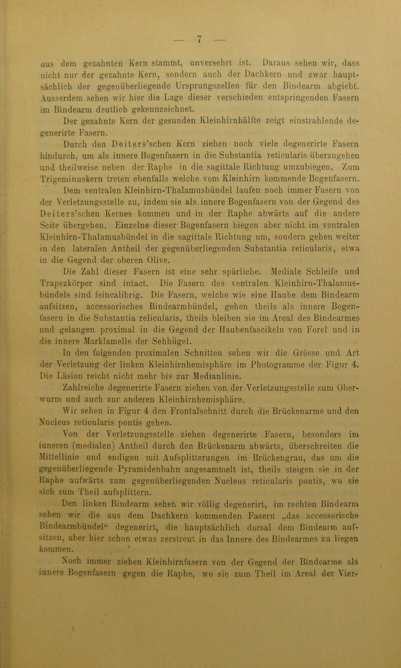 aus dem gezahnten Kein stammt, unversehrt ist. Daraus sehen wir, dass nicht nur der gezahnte Kern, sondorn auch der Dachkern und zwar haupt- sächlich der gegenüberliegende Ursprungszellen für den Bindearm abgiebt. Ausserdem sehen wir hier die Lage dieser verschieden entspringenden Fasern im Bindearm deutlich gekennzeichnet. Der gezahnte Kern der gesunden Kleinhirnhälfte zeigt einstrahlende de- generirte Fasern. Durch den Deiters’schen Kern ziehen noch viele degenerirte Fasern hindurch, um als innere Bogenfasern in die Substantia reticularis überzugehen und theilweise neben der Kaphe in die sagittale Richtung umzubiegen. Zum Trigeminuskern treten ebenfalls welche vom Kleinhirn kommende Bogenfasern. Dem ventralen Kleinhirn-Thalamusbiindel laufen noch immer Fasern von der Verletzungsstelle zu, indem sie als.innere Bogenfasern von der Gegend des Deiters’schen Kernes kommen und in der Raphe abwärts auf die andere Seite übergehen. Einzelne dieser Bogenlasern biegen aber nicht im ventralen Kleinhirn-Thalamusbündel in die sagittale Richtung um, sondern gehen weiter in den lateralen Antheil der gegenüberliegenden Substantia reticularis, etwa in die Gegend der oberen Olive. Die Zahl dieser Fasern ist eine sehr spärliche. Mediale Schleife und Trapezkörper sind intact. Die Fasern des ventralen Kleinhirn-Thalamus- bündels sind feincalibrig. Die Fasern, welche wie eine Haube dem Bindearm aufsitzen, accessorisches Bindearmbündel, gehen theils als innere Bogen- fasern in die Substantia relicularis, theils bleiben sie im Areal des Bindeavmes und gelangen proximal in die Gegend der Haubenfascikeln von Forel und in die innere Marklamellc der Sehhiigel. In den folgenden proximalen Schnitten sehen wir die Grösse und Art der Verletzung der linken Kleinhirnhemisphäre im Photogramme der Figur 4. Die Läsion reicht nicht mehr bis zur Medianlinie. Zahlreiche degenerirte Fasern ziehen von der Verletzungsstelle zum Ober- wurm und auch zur anderen Kleinhirnhemisphäre. Wir sehen in Figur 4 den Frontalschnitt durch die Brückenarme und den Xucleus reticularis pontis gehen. Von der Verletzungsstelle ziehen degenerirte Fasern, besonders im inneren (medialen) Antheil durch den Brückenarm abwärts, überschreiten die Mittellinie und endigen mit Aufsplitterungen im Brückengrau, das um die gegenüberliegende Pyramidenbahn angesammelt ist, theils steigen sie in der Raphe aufwärts zum gegenüberliegenden Nucleus reticularis pontis, wo sie sich zum Theil aufsplittern. Den linken Bindearm sehen wir völlig degenerirt, im rechten Bindearm sehen wir die aus dem Dachkern kommenden Fasern „das accessorischo Bindearmbündel“ degenerirt, die hauptsächlich dorsal dem Bindearm auf- sitzen, aber hier schon etwas zerstreut in das Innere des Bindearmes zu liegen kommen. Noch immer ziehen Kleinhirnfasern von der Gegend der Bindearme als innere Bogenfasern gegen die Raphe, wo sie zum Theil im Areal der Vieiv