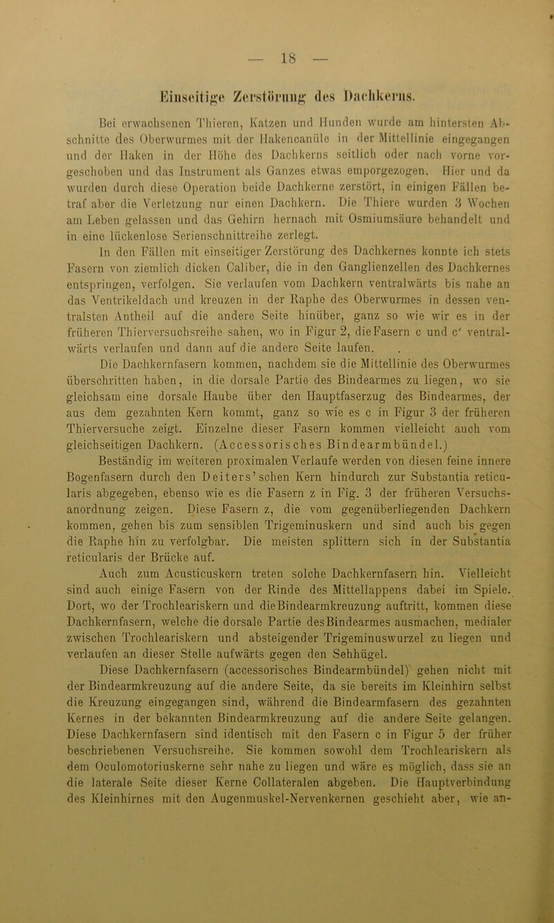 Einseitige Zerstörung des i)achkerns. Bei erwachsenen Thieren, Katzen und Hunden wurde am hintersten Ab- schnitte des Oberwurmes mit der Hakencaniile in der Mittellinie eingegangen und der Haken in der Höhe des Dachkerns seitlich oder nach vorne vor- geschoben und das Instrument als Ganzes etwas emporgezogen. Hier und da wurden durch diese Operation beide Dachkerne zerstört, in einigen Fällen be- traf aber die Verletzung nur einen Dachkern. Die Thiere wurden 3 Wochen am Leben gelassen und das Gehirn hernach mit Osmiumsäure behandelt und in eine lückenlose Serienschnittreihe zerlegt. ln den Fällen mit einseitiger Zerstörung des Dachkernes konnte ich stets Fasern von ziemlich dicken Caliber, die in den Ganglienzellen des Dachkernes entspringen, verfolgen. Sie verlaufen vom Dachkern ventralwärts bis nahe an das Ventrikeldach und kreuzen in der Raphe des Oberwurmes in dessen ven- tralsten Antheil auf die andere Seite hinüber, ganz so wie wir es in der früheren Thierversuchsreihe sahen, wo in Figur 2, die Fasern c und c' ventral- wärts verlaufen und dann auf die andere Seite laufen. Die Dach kern fasern kommen, nachdem sie die Mittellinie des Oberwurmes überschritten haben, in die dorsale Partie des Bindearmes zu liegen, wo sie gleichsam eine dorsale Haube über den Hauptfaserzug des Bindearmes, der aus dem gezahnten Kern kommt, ganz so wie es c in Figur 3 der früheren Thierversuche zeigt. Einzelne dieser Fasern kommen vielleicht auch vom gleichseitigen Dachkern. (Accessorisches Bindearmbündel.) Beständig im weiteren proximalen Verlaufe werden von diesen feine innere Bogenfasern durch den Deiters’sehen Kern hindurch zur Substantia reticu- laris abgegeben, ebenso wie es die Fasern z in Fig. 3 der früheren Versuchs- anordnung zeigen. Diese Fasern z, die vom gegenüberliegenden Dachkern kommen, gehen bis zum sensiblen Trigeminuskern und sind auch bis gegen die Raphe hin zu verfolgbar. Die meisten splittern sich in der Substantia reticularis der Brücke auf. Auch zum Acusticuskern treten solche Dachkernfasern hin. Vielleicht sind auch einige Fasern von der Rinde des Mittellappens dabei im Spiele. Dort, wo der Trochleariskern und die Bindearnikreuzung auftritt, kommen diese Dachkernfasern, welche die dorsale Partie des Bindearmes ausmachen, medialer zwischen Trochleariskern und absteigender Trigeminuswurzel zu liegen und verlaufen an dieser Stelle aufwärts gegen den Sehhügel. Diese Dachkernfasern (accessorisches Bindearmbündel) gehen nicht mit der Bindearmkreuzung auf die andere Seite, da sie bereits im Kleinhirn selbst die Kreuzung eingegangen sind, während die Bindearmfasern des gezahnten Kernes in der bekannten Bindearmkreuzung auf die andere Seite gelangen. Diese Dachkernfasern sind identisch mit den Fasern c in Figur 5 der früher beschriebenen Versuchsreihe. Sie kommen sowohl dem Trochleariskern als dem Oculomotoriuskerne sehr nahe zu liegen und wäre es möglich, dass sie an die laterale Seite dieser Kerne Collateralen abgeben. Die Hauptverbindung des Kleinhirnes mit den Augenmuskel-Nervenkernen geschieht aber, wie an-