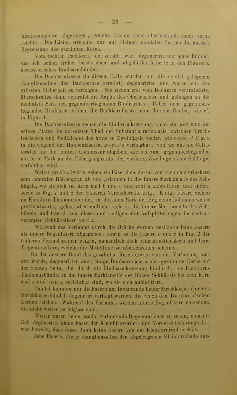 hirnhemisphäre abgetragen, welche Läsion sehr obcrllächlieh nach vorne reichte. Die Läsion erreichte nur auf kleinen caudalen Partien die äussere Begrenzung des gezahnten Kerns. Vom rechten Dachkern, der zerstört war, degenerirte nur jenes Bündel, das ich schon früher beschrieben und abgebildet habe (c in den Figuren), accesssorisches Bindeartnbündel. Die Dachkernfasern (in diesem Falle wurden nur die caudal gelegenen Ganglienzellen des Dachkernes zerstört) degenerirten und waren mit der grössten Sicherheit zu verfolgen. Sie ziehen erst vom Dachkern ventrahvärts, überschreiten dann ventralst die Raphe des Oberwurmes und gelangen an die medialste Seite des gegenüberliegenden Bindearmes. Ueber dem gegenüber- liegenden Bindearm bilden die Dachkernfasern eine dorsale Haube, wie c', in Figur 4. Die Dachkernfasern gehen die Bindearmkreuzung nicht ein und sind am selben Platze im dorsalsten Theil der Substantia reticularis zwischen Troch- leariskern und Medialrand des hinteren Zweihügels weiter, wie c und c' Fig. 5 in die Gegend der Haubenfascikel Forel’s verfolgbar, von wo aus sie Colla- teralen in die hintere Commissur abgeben, die bis zum gegenüberliegenden mittleren Mark an der Uebergangsstelle des vorderen Zweihügels zum Sehhiigel verfolgbar wird. Weiter proximalwärts geben sie Fäserchen dorsal vom Oculomotoriuskern zum centralen Höhlengrau ab und gelangen in die innere Marklamelle des Seh- hügels, wo sie sich im Kern med b und c und vent a aufsplittern und enden, sowie es Fig. 7 und 8 der früheren Versuchsreihe zeigt. Einige Fasern ziehen im Kleinhirn-Thalamusbündel, im dorsalen Mark der Regio subthalamica weiter proximalwärts, gehen aber endlich auch in die innere Marklamelle des Seh- hügels und lateral von dieser und endigen mit Aufsplitterungen im central- ventralen Sehhügelkern vent a. Während des Verlaufes durch die Brücke werden beständig feine Fasern als innere Bogenfasern abgegeben, sowie es die Fasern c und z in Fig. 2 der früheren Versuchsreihen zeigen, namentlich auch beim Acusticuskern und beim Trigeminuskern, welche die Mittellinie zu überschreiten scheinen. Da der äussere Rand des gezahnten Kerns etwas von der Verletzung tan- girt wurde, degenerirten auch einige Bindearmfasern des gezahnten Kerns auf der rechten Seite, die durch die Bindearmkreuzung hindurch, als Kleinhirn- Thalamusbündel in die innere Marklamelle des linken Sehhiigels bis zum Kern med c und vent a verfolgbar sind, wo sie sich aufsplittern. Caudal konnten nur dieFasern am Innenrande beider Strickkörper (inneres Strickkörperbündel) degenerirt verfolgt werden, die bis zu dem Burdach'sehen Kernen reichen. Während des Verlaufes werden innere Bogen fasern entsendet, die nicht weiter vcrfolgbar sind. Weiter waren keine caudal verlaufende Degenerationen zu sehen, nament- lich degenerirte keine Faser der Kleinhirnvorder- und Vorderseitenstrangbahn, was beweist, dass diese Bahn keine Fasern von der Kleinhirnrinde erhält. •lene Fasern, die in Ganglienzellen der abgetragenen Kleinhirnrinde ent-