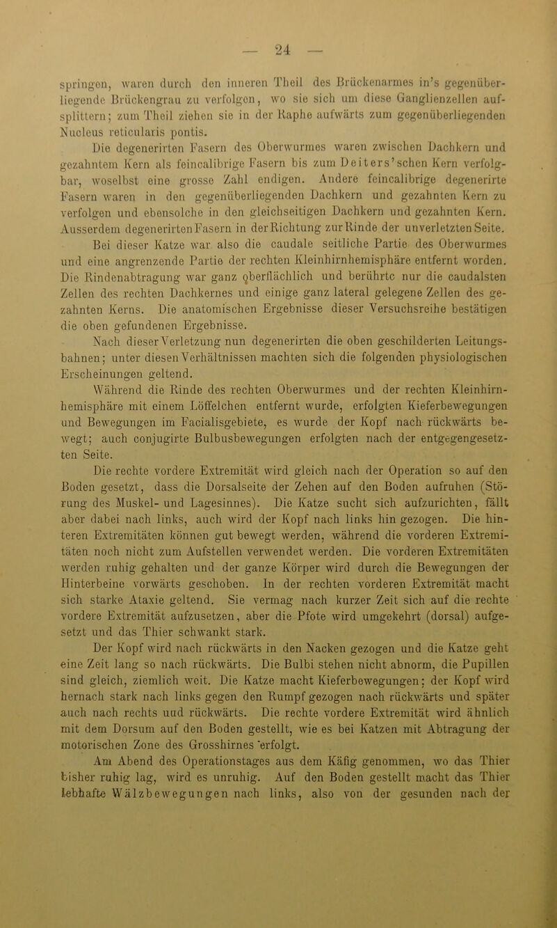 springen, waren durch den inneren Theil des Brückenarmes in’s gegenüber- liegende Brückengrau zu verfolgen, wo sie sich um diese Ganglienzellen auf- splittern; zum Theil ziehen sie in der Raphe aufwärts zum gegenüberliegenden Nucleus reticularis pontis. Die degenerirten Fasern des Oberwurmos waren zwischen Dachkern und gezahntem Kern als feincalibrige Fasern bis zum Deiters’sehen Kern verfolg- bar, woselbst eine grosse Zahl endigen. Andere feincalibrige degenerirte Fasern waren in den gegenüberliegenden Dachkern und gezahnten Kern zu verfolgen und ebensolche in den gleichseitigen Dachkern und gezahnten Kern. Ausserdem degenerirten Fasern in der Richtung zur Rinde der unverletzten Seite. Bei dieser Katze war also die caudale seitliche Partie des Oberwurmes und eine angrenzende Partie der rechten Kleinhirnhemisphäre entfernt worden. Die Rindenabtragung war ganz oberflächlich und berührte nur die caudalsten Zellen des rechten Dachkernes und einige ganz lateral gelegene Zellen des ge- zahnten Kerns. Die anatomischen Ergebnisse dieser Versuchsreihe bestätigen die oben gefundenen Ergebnisse. Nach dieser Verletzung nun degenerirten die oben geschilderten Leitungs- bahnen; unter diesen Verhältnissen machten sich die folgenden physiologischen Erscheinungen geltend. Während die Rinde des rechten Oberwurmes und der rechten Kleinhirn- hemisphäre mit einem Löffelchen entfernt wurde, erfolgten Kieferbewegungen und Bewegungen im Facialisgebiete, es wurde der Kopf nach rückwärts be- wegt; auch conjugirte Bulbusbewegungen erfolgten nach der entgegengesetz- ten Seite. Die rechte vordere Extremität wird gleich nach der Operation so auf den Boden gesetzt, dass die Dorsalseite der Zehen auf den Boden aufruhen (Stö- rung des Muskel- und Lagesinnes). Die Katze sucht sich aufzurichten, fällt aber dabei nach links, auch wird der Kopf nach links hin gezogen. Die hin- teren Extremitäten können gut bewegt werden, während die vorderen Extremi- täten noch nicht zum Aufstellen verwendet werden. Die vorderen Extremitäten werden ruhig gehalten und der ganze Körper wird durch die Bewegungen der Hinterbeine vorwärts geschoben. In der rechten vorderen Extremität macht sich starke Ataxie geltend. Sie vermag nach kurzer Zeit sich auf die rechte vordere Extremität aufzusetzen, aber die Pfote wird umgekehrt (dorsal) aufge- setzt und das Thier schwankt stark. Der Kopf wird nach rückwärts in den Nacken gezogen und die Katze geht eine Zeit lang so nach rückwärts. Die Bulbi stehen nicht abnorm, die Pupillen sind gleich, ziemlich weit. Die Katze macht Kieferbewegungen; der Kopf wird hernach stark nach links gegen den Rumpf gezogen nach rückwärts und später auch nach rechts uud rückwärts. Die rechte vordere Extremität wird ähnlich mit dem Dorsum auf den Boden gestellt, wie es bei Katzen mit Abtragung der motorischen Zone des Grosshirnes ‘erfolgt. Am Abend des Operationstages aus dem Käfig genommen, wo das Thier bisher ruhig lag, wird es unruhig. Auf den Boden gestellt macht das Thier lebhafte Wälzbewegungen nach links, also von der gesunden nach der