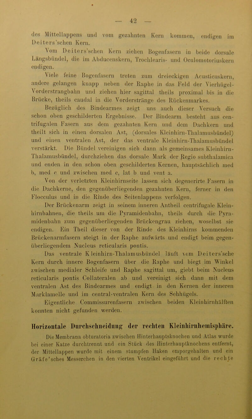 dos Mittellappens und vom gezahnten Kern kommen, endigen im Deiters’schen Kern. A oin Deiters’schen Kern ziehen Bogenfasern in beide dorsale Längsbiindel, die im Abducenskern, Troclilearis- und Oculomotoriuskern endigen. Viele leine Bogenfasern treten zum dreieckigen Acusticuskern, andere gelangen knapp neben der Raphe in das Feld der Vierhügel- Vorderstrangbahn und ziehen hier sagittal theils proximal bis in die Brücke, theils caudal in die Vorderstränge des Rückenmarkes. Bezüglich des Bindearmes zeigt uns auch dieser Versuch die schon oben geschilderten Ergebnisse. Der Bindearm bestellt aus cen- trifugalen Fasern aus dem gezahnten Kern und dem Dachkern und theilt sich in einen dorsalen Ast, (dorsales Kleinhirn-Thalamusbündel) und einen ventralen Ast, der das ventrale Kleinhirn-Thalamusbündel verstärkt. Die Bündel vereinigen sich dann als gemeinsames Kleinhirn- Thalamusbündel, durchziehen das dorsale Mark der Regio subthalamica und enden in den schon oben geschilderten Kernen, hauptsächlich med b, med c und zwischen med c, lat b und vent a. Von der verletzten Kleinhirnseite lassen sich degenerirte Fasern in die Dachkerne, den gegenüberliegenden gezahnten Kern, ferner in den Flocculus und in die Rinde des Seitenlappens verfolgen. Der Brückenarm zeigt in seinem inneren Antheil centrifugale Klein- hirnbahnen, die theils um die Pyramidenbahn, theils durch die Pyra- midenbahn zum gegenüberliegenden Brückengrau ziehen, woselbst sie endigen. Ein Theil dieser von der Rinde des Kleinhirns kommenden Brückenarmfasern steigt in der Raphe aufwärts und endigt beim gegen- überliegendem Nucleus reticularis pontis. Das ventrale Kleinhirn-Thalamusbündel läuft vom Deiters’sche Kern durch innere Bogenfasern über die Raphe und biegt im Winkel zwischen medialer Schleife und Raphe sagittal um, giebt beim Nucleus reticularis pontis Collateralen ab und vereinigt sich dann mit dem ventralen Ast des Bindearmes und endigt in den Kernen der inneren Marktanteile und im central-ventralen Kern des Sehhügels. Eigentliche Commissurenfasern zwischen beiden Kleinhirnhälften konnten nicht gefunden werden. Horizontale Durclischneidmig der rechten Kleinliirnhemisphäre. Die Membrana obturatoria zwischen Hinterhauptsknochen und Atlas wurde bei einer Katze durchtrennt und ein Stück des Hinterhauptknochens entfernt, der Mittellappen wurde mit einem stumpfen Haken emporgehalten und ein Gräfe’sches Messerchen in den vierten Ventrikel eingeführt und die rechte