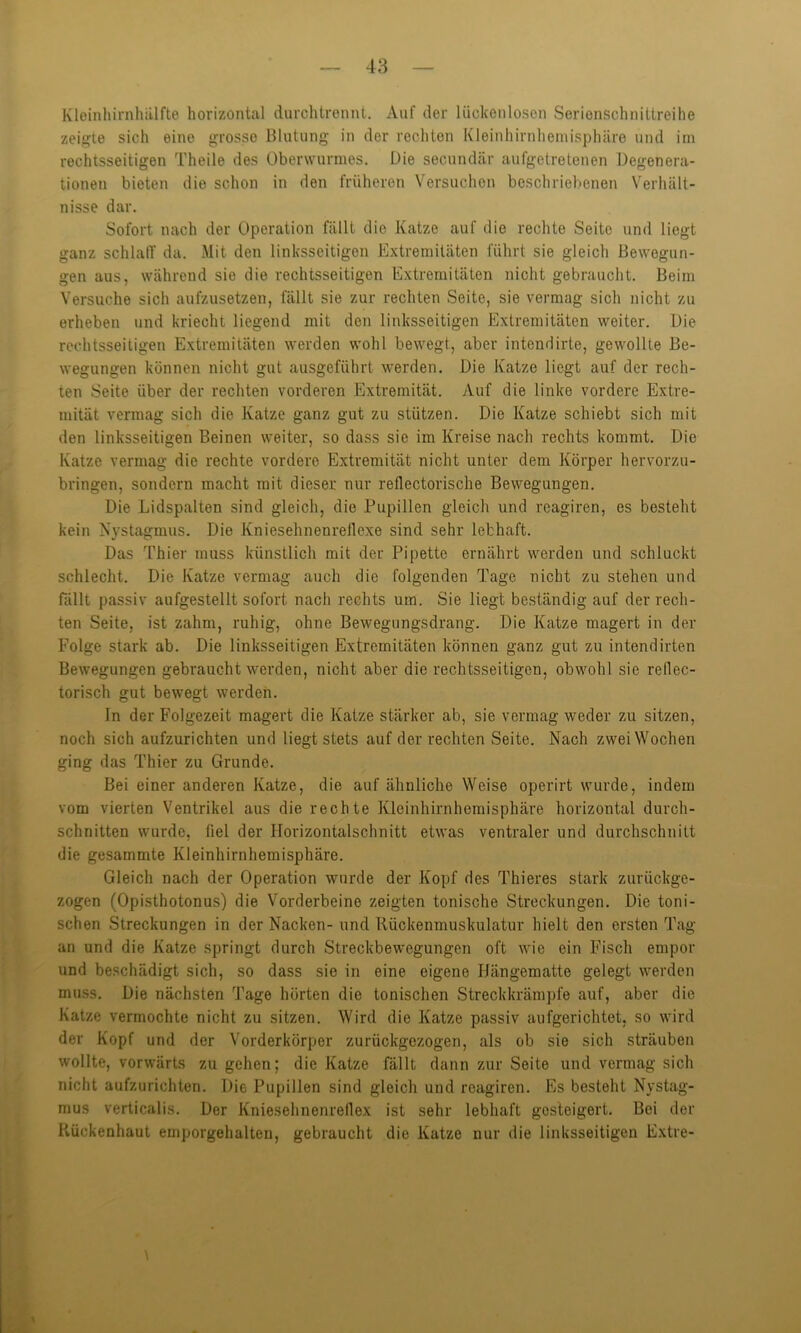 Kleinhirnhälfte horizontal durchtrennt. Auf der lückenlosen Serionschnittreihe zeigte sich eine grosso Blutung in der rechten Kleinhirnhemisphäre und im rechtsseitigen Theile des Oberwunnes. Die secundär aufgetretenen Degenera- tionen bieten die schon in den früheren Versuchen beschriebenen Verhält- nisse dar. Sofort nach der Operation fällt die Katze auf die rechte Seite und liegt ganz schlaff da. Mit den linksseitigen Extremitäten führt sie gleich Bewegun- gen aus, während sie die rechtsseitigen Extremitäten nicht gebraucht. Beim Versuche sich aufzusetzen, fällt sie zur rechten Seite, sie vermag sich nicht zu erheben und kriecht liegend mit den linksseitigen Extremitäten weiter. Die rechtsseitigen Extremitäten werden wohl bewegt, aber intendirte, gewollte Be- wegungen können nicht gut ausgeführt werden. Die Katze liegt auf der rech- ten Seite über der rechten vorderen Extremität. Auf die linke vordere Extre- mität vermag sich die Katze ganz gut zu stützen. Die Katze schiebt sich mit den linksseitigen Beinen weiter, so dass sie im Kreise nach rechts kommt. Die Katze vermag die rechte vordere Extremität nicht unter dem Körper hervorzu- bringen, sondern macht mit dieser nur reflectorische Bewegungen. Die Lidspalten sind gleich, die Pupillen gleich und rcagiren, es besteht kein Nystagmus. Die Kniesehnenreflexe sind sehr lebhaft. Das Thier muss künstlich mit der Pipette ernährt werden und schluckt schlecht. Die Katze vermag auch die folgenden Tage nicht zu stehen und fällt passiv aufgestellt sofort nach rechts um. Sie liegt beständig auf der rech- ten Seite, ist zahm, ruhig, ohne Bewegungsdrang. Die Katze magert in der Folge stark ab. Die linksseitigen Extremitäten können ganz gut zu intendirten Bewegungen gebraucht werden, nicht aber die rechtsseitigen, obwohl sie rellec- torisch gut bewegt werden. In der Folgezeit magert die Katze stärker ab, sie vermag weder zu sitzen, noch sich aufzurichten und liegt stets auf der rechten Seite. Nach zwei Wochen ging das Thier zu Grunde. Bei einer anderen Katze, die auf ähnliche Weise operirt wurde, indem vom vierten Ventrikel aus die rechte Kleinhirnhemisphäre horizontal durch- schnitten wurde, fiel der Horizontalschnitt etwas ventraler und durchschnitt die gesammte Kleinhirnhemisphäre. Gleich nach der Operation wurde der Kopf des Thieres stark zurückge- zogen (Opisthotonus) die Vorderbeine zeigten tonische Streckungen. Die toni- schen Streckungen in der Nacken- und Rückenmuskulatur hielt den ersten Tag an und die Katze springt durch Streckbewegungen oft wie ein Fisch empor und beschädigt sich, so dass sie in eine eigene Hängematte gelegt werden muss. Die nächsten Tage hörten die tonischen Streckkrämpfe auf, aber die Katze vermochte nicht zu sitzen. Wird die Katze passiv aufgerichtet, so wird der Kopf und der Vorderkörper zurückgezogen, als ob sie sich sträuben wollte, vorwärts zu gehen; die Katze fällt dann zur Seite und vermag sich nicht aufzurichten. Die Pupillen sind gleich und rcagiren. Es besteht Nystag- mus verticalis. Der Kniesehnenrellex ist sehr lebhaft gesteigert. Bei der Rückenhaut emporgehalten, gebraucht die Katze nur die linksseitigen Extre-