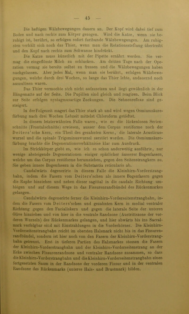 Die heftigen Wälzbewegungen dauern an. Der Kopf wird dabei tief zum Boden und nach rechts zum Körper gezogen. Wird die Katze, wenn sie be- ruhigt ist, berührt, so erfolgen sofort furibunde Wälzbewegungen. Am ruhig- sten verhält sich noch das Thier, wenn man die RotationssteHung übertreibt und den Kopf nach rechts zum Schwänze hindrückt. Die Katze muss künstlich mit der Pipette ernährt werden. Sie ver- mag die eingetlösste Milch zu schlucken. Am dritten Tage nach der Ope- ration vermag sie bereits selbst zu fressen und die Wälzbewegungen haben nachgelassen. Aber jedes Mal, wenn man sie berührt, erfolgen Wälzbewe- gungen, welche durch drei Wochen, so lange das Thier lebte, andauernd noch auszulösen waren. Das Thier vermochte sich nicht aufzusetzen und liegt gewöhnlich in der Hängematte auf der Seite. Die Pupillen sind gleich und reagiren. Beim Blick zur Seite erfolgen nystagmusartige Zuckungen. Die Sehnenreflexe sind ge- steigert. ln derFoigezeit magert dasThier stark ab und wird wegen Osmiumsäure- Färbung nach drei Wochen Lebzeit' mittelst Chloroform getödtet. ln diesem letzterwähnten Falle waren, wie es die lückenlosen Serien- schnitte (Frontalschnitte) erwiesen, ausser dem Corpus restiforme noch der Deiters’sehe Kern, ein Theil des gezahnten Kerns, die laterale Acusticus- wurzel und die spinale Trigeminuswurzel zerstört worden. Die Osmiumsäure- färbung brachte die Degenerationsverhältnisse klar zum Ausdruck. Im Strickkörper giebt es, wie ich es schon anderweitig ausführte, nur wenige absteigende Degenerationen einiger spärlicher äusserer Bogenfasern, welche um das Corpus restiforme herumziehen, gegen den Seitenstrangkern zu. Sie geben innere Bogenfasern in die Substantia reticularis ab. Caudalwärts degenerirte in diesem Falle die Kleinhirn-Vorderstrang- bahn, indem die Fasern vom Deiters’schen als innere Bogenfasern gegen die Raphe hinziehen und neben dieser sagittal in die caudale Richtung um- biegen und auf diesem Wege in das Fissurenrandbündel des Rückenmarkes gelangen. Caudalwärts degenerirte ferner die Kleinhirn-Vorderseitenstrangbahn, in- dem die Fasern vom Deiters’schen und gezahnten Kern in medial ventraler Richtung gegen den Facialiskern und gegen die laterale Seite der unteren Olive hinziehen und von hier in die ventrale Randzone (Austrittszone der vor- deren Wurzeln) des Rückenmarkes gelangen, und hier abwärts bis ins Sacral- mark verfolgbar sind mit Einstrahlungen in die Vorderhörner. Die Kleinhirn- Norderseitenstrangbahn reicht im obersten Halsmark nicht bis in das Fissuren- randbündel, sondern ist hier noch von den Fasern der Kleinhirn-Vorderstrang- bahn getrennt. Erst in tieferen Partien des Halsmarkes stossen die Fasern der Kleinhirn-Vorderstrangbahn und der Kleinhirn-Vordorseitenstrang an der Ecke zwischen Fissurenrandzone und ventraler Randzone zusammen, so dass die Kleinhirn-Vorderstrangbahn und die Kleinhirn-Vorderseitenstrangbahn einen fortgesetzten Saum in der Randzone der vorderen Fissur und in der ventralen Randzone des Rückenmarks (unteres Hals- und Brustmark) bilden. \