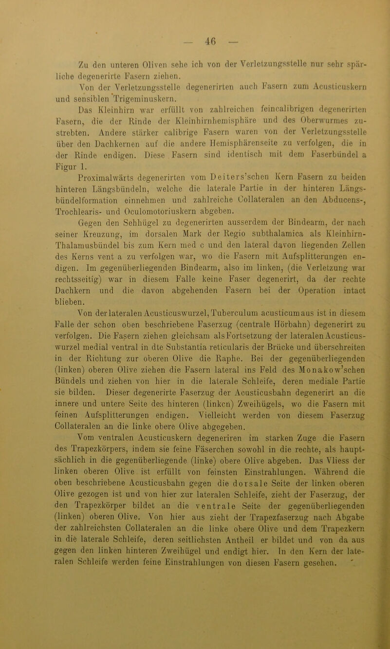 Zu den unteren Oliven sehe ich von der Vorleizungsstelle nur sehr spär- liche degenerirte Fasern ziehen. Von der Verletzungsstelle degenerirten auch Fasern zum Acusticuskern und sensiblen Trigeminuskern. Das Kleinhirn war erfüllt von zahlreichen feincalibrigen degenerirten Fasern,, die der Rinde der Kleinhirnhemisphäre und des Oberwurmes zu- strebten. Andere stärker calibrige Fasern waren von der Verletzungsstelle über den Dachkernen auf die andere Hemisphärenseite zu verfolgen, die in der Rinde endigen. Diese Fasern sind identisch mit dem Faserbündel a Figur 1. Proximalwärts degenerirten vom Deiters’schen Kern Fasern zu beiden hinteren Längsbündeln, welche die laterale Partie in der hinteren Längs- bündelformation einnehmen und zahlreiche Oollateralen an den Abducens-, Trochlearis- und Oculomotoriuskern abgeben. Gegen den Sehhügel zu degenerirten ausserdem der Bindearm, der nach seiner Kreuzung, im dorsalen Mark der Regio subthalamica als Kleinhirn- Thalamusbündel bis zum Kern med c und den lateral davon liegenden Zellen des Kerns vent a zu verfolgen war, wo die Fasern mit Aufsplitterungen en- digen. Im gegenüberliegenden Bindearm, also im linken, (die Verletzung war rechtsseitig) war in diesem Falle keine Faser degenerirt, da der rechte Dachkern und die davon abgehenden Fasern bei der Operation intact blieben. Von der lateralen Acusticuswurzel, Tuberculum acusticumaus ist in diesem Falle der schon oben beschriebene Faserzug (centrale Hörbahn) degenerirt zu verfolgen. Die Fasern ziehen gleichsam als Fortsetzung der lateralen Acusticus- wurzel medial ventral in dte Substantia reticularis der Brücke und überschreiten in der Richtung zur oberen Olive die Raphe. Bei der gegenüberliegenden (linken) oberen Olive ziehen die Fasern lateral ins Feld des Monakow’schen Bündels und ziehen von hier in die laterale Schleife, deren mediale Partie sie bilden. Dieser degenerirte Faserzug der Acusticusbahn degenerirt an die innere und untere Seite des hinteren (linken) Zweihügels, wo die Fasern mit feinen Aufsplitterungen endigen. Vielleicht werden von diesem Faserzug Oollateralen an die linke obere Olive abgegeben. Vom ventralen Acusticuskern degeneriren im starken Zuge die Fasern des Trapezkörpers, indem sie feine Fäserchen sowohl in die rechte, als haupt- sächlich in die gegenüberliegende (linke) obere Olive abgeben. Das Vliess der linken oberen Olive ist erfüllt von feinsten Einstrahlungen. Während die oben beschriebene Acusticusbahn gegen die dorsale Seite der linken oberen Olive gezogen ist und von hier zur lateralen Schleife, zieht der Faserzug, der den Trapezkörper bildet an die ventrale Seite der gegenüberliegenden (linken) oberen Olive. Von hier aus zieht der Trapezfaserzug nach Abgabe der zahlreichsten Oollateralen an die linke obere Olive und dem Trapezkern in die laterale Schleife, deren seitlichsten Antheil er bildet und von da aus gegen den linken hinteren Zweihügel und endigt hier. In den Kern der late- ralen Schleife werden feine Einstrahlungen von diesen Fasern gesehen.