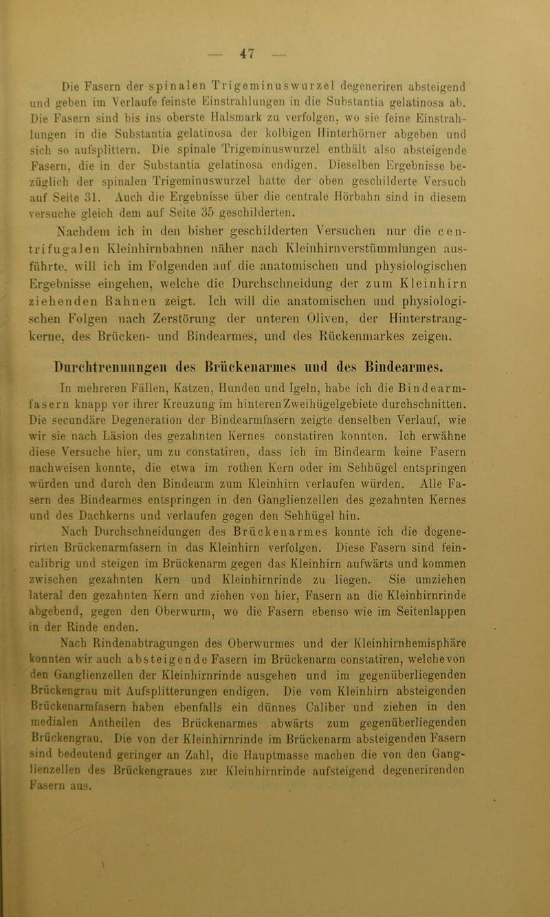 Die Fasern der spinalen Trigeminuswurzel degeneriren absteigend und geben im Verlaufe feinste Einstrahlungen in die Substantia gelatinosa ab. Die Fasern sind bis ins oberste Halsmark zu verfolgen, wo sie feine Einstrah- lungen in die Substantia gelatinosa der kolbigen Hinterhörner abgeben und sich so aufsplittern. Die spinale Trigeminuswurzel enthält also absteigende Fasern, die in der Substantia gelatinosa endigen. Dieselben Ergebnisse be- züglich der spinalen Trigeminuswurzel hatte der oben geschilderte Versuch auf Seite 31. Auch die Ergebnisse über die centrale Hörbahn sind in diesem versuche gleich dem auf Seite 35 geschilderten. Nachdem ich in den bisher geschilderten Versuchen nur die cen- trifugalen Kleinhirnbahnen näher nach Kleinhirnverstümmlungen aus- führte, will ich im Folgenden auf die anatomischen und physiologischen Ergebnisse eingehen, welche die Durchschneidung der zum Kleinhirn ziehenden Bahnen zeigt. Ich will die anatomischen und physiologi- schen Folgen nach Zerstörung der unteren Oliven, der Hinterstrang- kerne, des Brücken- und Bindearmes, und des Rückenmarkes zeigen. Durchtremiungeii des Brücken armes und des Bindearmes. In mehreren Fällen, Katzen, Hunden und Igeln, habe ich die Bindearm- fasern knapp vor ihrer Kreuzung im hinteren Zweihiigelgebiete durchschnitten. Die secundäre Degeneration der Bindearm fasern zeigte denselben Verlauf, wie wir sie nach Läsion des gezahnten Kernes constatiren konnten. Ich erwähne diese Versuche hier, um zu constatiren, dass ich im Bindearm keine Fasern nachweisen konnte, die etwa im rothen Kern oder im Sehhügel entspringen würden und durch den Bindearm zum Kleinhirn verlaufen würden. Alle Fa- sern des Bindearmes entspringen in den Ganglienzellen des gezahnten Kernes und des Dachkerns und verlaufen gegen den Sehhügel hin. Nach Durchschneidungen des Brückenarmes konnte ich die degene- rirten Brückenarmfasern in das Kleinhirn verfolgen. Diese Fasern sind fein- calibrig und steigen im Brückenarm gegen das Kleinhirn aufwärts und kommen zwischen gezahnten Kern und Kleinhirnrinde zu liegen. Sie umziehen lateral den gezahnten Kern und ziehen von hier, Fasern an die Kleinhirnrinde abgebend, gegen den Oberwurm, wo die Fasern ebenso wie im Seitenlappen in der Rinde enden. Nach Rindenabtragungen des Oberwurmes und der Kleinhirnhemisphäre konnten wir auch absteigende Fasern im Brückenarm constatiren, welche von den Ganglienzellen der Kleinhirnrinde ausgehen und im gegenüberliegenden Brückengrau mit Aufsplitterungen endigen. Die vom Kleinhirn absteigenden Brückenarm fasern haben ebenfalls ein dünnes Caliber und ziehen in den medialen Anthcilen des Brückenarmes abwärts zum gegenüberliegenden Brückengrau. Die von der Kleinhirnrinde im Brückenarm absteigenden Fasern sind bedeutend geringer an Zahl, die Hauptmasse machen die von den Gang- lienzellen des Brückengraues zur Kleinhirnrinde aufsteigond degencrirenden Fasern aus.