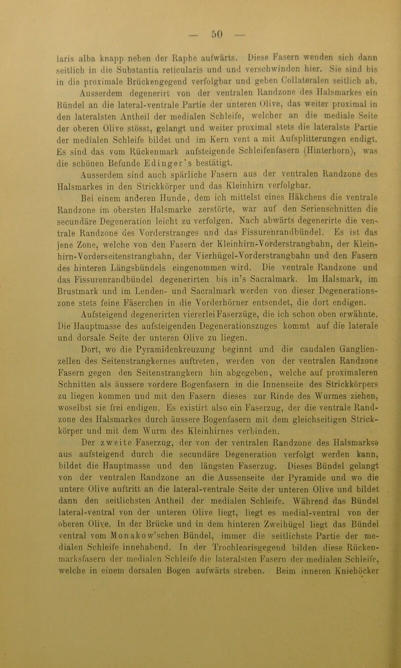 f)0 laris alba knapp neben der Raphe aufwärts. Diese Irasern wenden sich dann seitlich in die Substantia reticularis und und verschwinden hier. Sie sind bis in dio proximale Brückengegend verfolgbar und geben (Jollateralen seitlich ab. Ausserdem degenerirt von der ventralen Randzone des Halsmarkes ein Bündel an die lateral-ventrale Partie der unteren Olive, das weiter proximal in den lateralsten Antheil der medialen Schleife, welcher an die mediale Seite der oberen Olive stösst, gelangt und weiter proximal stets die lateralste Partie der medialen Schleife bildet und im Kern vent a mit Aufsplitterungen endigt. Es sind das vom Rückenmark aufsteigende Schleifen fasern (Hinterhorn), was die schönen Befunde Edinger's bestätigt. Ausserdem sind auch spärliche Fasern aus der ventralen Randzone des Halsmarkes in den Strickkörper und das Kleinhirn verfolgbar. Bei einem anderen Hunde, dem ich mittelst eines Häkchens die ventrale Randzone im obersten Halsmarke zerstörte, war auf den Serienschnitten die secundäre Degeneration leicht zu verfolgen. Nach abwärts degenerirte die ven- trale Randzone des Vorderstranges und das Fissurenrandbündel. Es ist das jene Zone, welche von den Fasern der Kleinhirn-Vorderstrangbahn, der Klein- hirn-Vorderseitenstrangbahn, der Vierhügel-Vorderstrangbahn und den Fasern des hinteren Längsbündels eingenommen wird. Die ventrale Randzone und das Fissurenrandbündel degenerirten bis in’s Sacralmark. Im Halsmark, im Brustmark und im Lenden- und Sacralmark werden von dieser Degenerations- zone stets feine Fäserchen in die Vorderhörner entsendet, die dort endigen. Aufsteigend degenerirten viererlei Faserzüge, die ich schon oben erwähnte. Die Hauptmasse des aufsteigenden Degenerationszuges kommt auf die laterale und dorsale Seite der unteren Olive zu liegen. Dort, wo die Pyramidenkreuzung beginnt und die caudalen Ganglien- zellen des Seitenstrangkernes auftreten, werden von der ventralen Randzone Fasern gegen den Seitenstrangkern hin abgegeben, welche auf proximaleren Schnitten als äussere vordere Bogenfasern in die Innenseite des Strickkörpers zu liegen kommen und mit den Fasern dieses zur Rinde des Wurmes ziehen, woselbst sie frei endigen. Es existirt also ein Faserzug, der die ventrale Rand- zone des Halsmarkes durch äussere Bogen fasern mit dem gleichseitigen Strick- körper und mit dem Wurm des Kleinhirnes verbinden. Der zweite Faserzug, der von der ventralen Randzone des Halsmarkso aus aufsteigend durch die secundäre Degeneration verfolgt werden kann, bildet die Hauptmasse und den längsten Faserzug. Dieses Bündel gelangt von der ventralen Randzone an die Aussenseite der Pyramide und wo die untere Olive auftritt an die lateral-ventrale Seite der unteren Olive und bildet dann den seitlichsten Antheil der medialen Schleife. Während das Bündel lateral-ventral von der unteren Olive liegt, liegt es medial-ventral von der oberen Olive, ln der Brücke und in dem hinteren Zweihügel liegt das Bündel ventral vom Monakow’schen Bündel, immer die seitlichste Partie der me- dialen Schleife innehabend. In der Trochlearisgegend bilden diese Riicken- marksfasern der medialen Schleife die lateralsten Fasern der medialen Schleife, welche in einem dorsalen Bogen aufwärts streben. Beim inneren Kniehöcker