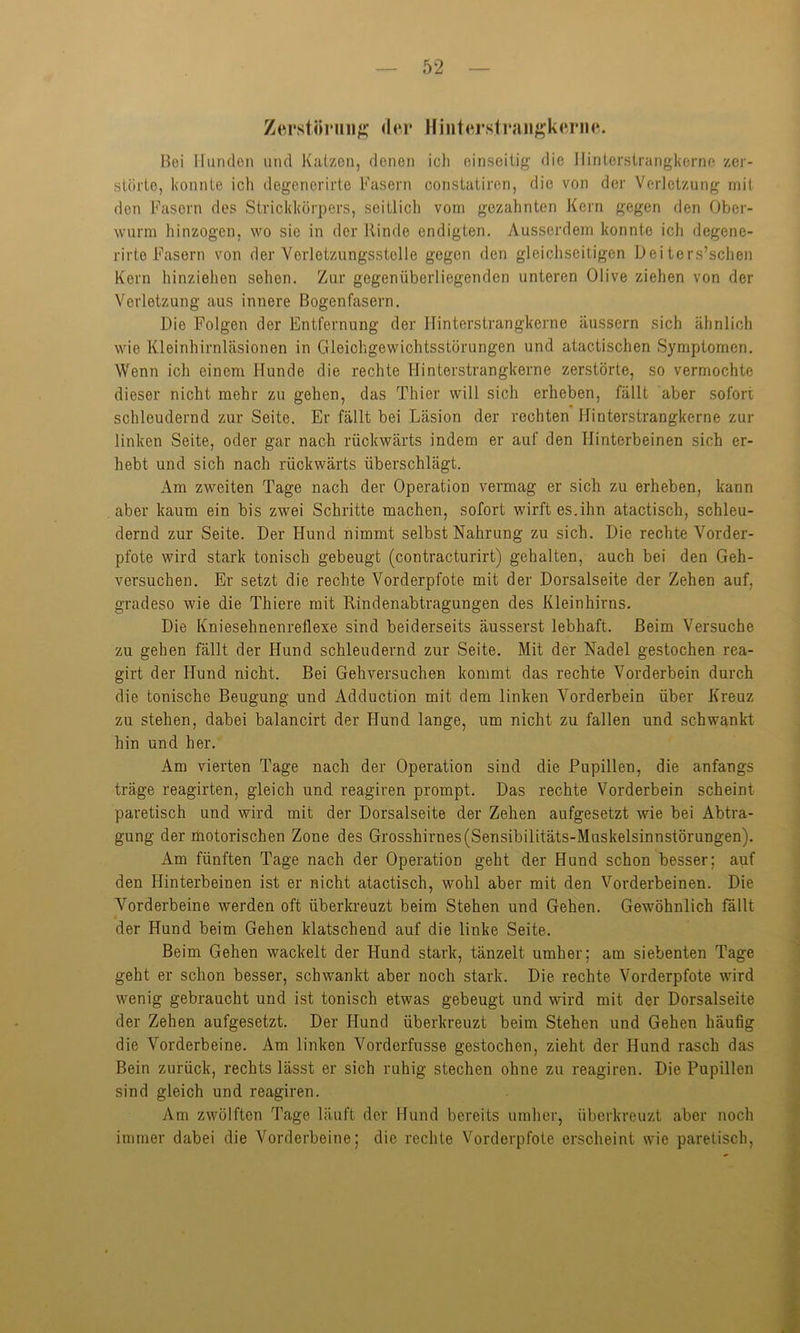 Zerstörung der Hinterstrangkerne. Boi Hunden und Katzen, denen ich einseitig die Hinterstrangkerne zer- störte, konnte ich degcnorirte Fasern constatiren, die von der Verletzung mit den Fasern des Strickkörpers, seitlich vom gezahnten Kern gegen den Ober- wurm hinzogen, wo sic in der Kinde endigten. Ausserdem konnte ich degene- rirte Fasern von der Verletzungsstelle gegen den gleichseitigen Dei ters’schen Kern hinziehen sehen. Zur gegenüberliegenden unteren Olive ziehen von der Verletzung aus innere ßogenfasern. Die Folgen der Entfernung der Hinterstrangkerne äussern sich ähnlich wie Kleinhirnläsionen in Gleichgewichtsstörungen und atactischen Symptomen. Wenn ich einem Hunde die rechte Hinterstrangkerne zerstörte, so vermochte dieser nicht mehr zu gehen, das Thier will sich erheben, fällt aber sofort schleudernd zur Seite. Er fällt bei Läsion der rechten Hinterstrangkerne zur linken Seite, oder gar nach rückwärts indem er auf den Hinterbeinen sich er- hebt und sich nach rückwärts überschlägt. Am zweiten Tage nach der Operation vermag er sich zu erheben, kann aber kaum ein bis zwei Schritte machen, sofort wirft es.ihn atactisch, schleu- dernd zur Seite. Der Hund nimmt selbst Nahrung zu sich. Die rechte Vorder- pfote wird stark tonisch gebeugt (contracturirt) gehalten, auch bei den Geh- versuchen. Er setzt die rechte Vorderpfote mit der Dorsalseite der Zehen auf, gradeso wie die Thiere mit Rindenabtragungen des Kleinhirns. Die Kniesehnenreflexe sind beiderseits äusserst lebhaft. Beim Versuche zu gehen fällt der Hund schleudernd zur Seite. Mit der Nadel gestochen rea- girt der Hund nicht. Bei Gehversuchen kommt das rechte Vorderbein durch die tonische Beugung und Adduction mit dem linken Vorderbein über Kreuz zu stehen, dabei balancirt der Hund lange, um nicht zu fallen und schwankt hin und her. Am vierten Tage nach der Operation sind die Pupillen, die anfangs träge reagirten, gleich und reagiren prompt. Das rechte Vorderbein scheint paretisch und wird mit der Dorsalseite der Zehen aufgesetzt wie bei Abtra- gung der motorischen Zone des Grosshirnes (Sensibilitäts-Muskelsinnstörungen). Am fünften Tage nach der Operation geht der Hund schon besser; auf den Hinterbeinen ist er nicht atactisch, wohl aber mit den Vorderbeinen. Die Vorderbeine werden oft überkreuzt beim Stehen und Gehen. Gewöhnlich fällt der Hund beim Gehen klatschend auf die linke Seite. Beim Gehen wackelt der Hund stark, tänzelt umher; am siebenten Tage geht er schon besser, schwankt aber noch stark. Die rechte Vorderpfote wird wenig gebraucht und ist tonisch etwas gebeugt und wird mit der Dorsalseite der Zehen aufgesetzt. Der Hund überkreuzt beim Stehen und Gehen häufig die Vorderbeine. Am linken Vorderfusse gestochen, zieht der Hund rasch das Bein zurück, rechts lässt er sich ruhig stechen ohne zu reagiren. Die Pupillen sind gleich und reagiren. Am zwölften Tage läuft der Hund bereits umher, überkreuzt aber noch immer dabei die Vorderbeine; die rechte Vorderpfote erscheint wie paretisch,