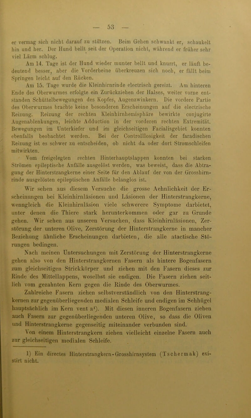 er vermag sich nicht darauf zu stützen. Beim Gehen schwankt er, schaukelt hin und her. Der Hund bellt seit der Operation nicht, während er früher sehr viel Lärm schlug. Am 14. Tage ist der Hund wieder munter bellt und knurrt, er läuft be- deutend besser, aber die Vorderbeine überkreuzen sich noch, er fällt beim Springen leicht auf den Rücken. Am 15. Tage wurde die Kleinhirnrinde electrisch gereizt. Am hinteren Ende des Oberwurmes erfolgte ein Zurückziehen der Halses, weiter vorne ent- standen Schüttelbewegungen des Kopfes, Augenzwinkern. Die vordere Partie des Oberwurmes brachte keine besonderen Erscheinungen auf die electrische Reizung. Reizung der rechten Kleinhirnhemisphäre bewirkte conjugirte Augenablenkungen, leichte Adduction in der vorderen rechten Extremität. Bewegungen im Unterkiefer und im gleichseitigen Facialisgebiet konnten ebenfalls beobachtet werden. Bei der Controlllosigkeit der faradischen Reizung ist es schwer zu entscheiden, ob nicht da oder dort Stromschleifen mitwirkten. Vom freigelegten rechten Hinterhauptslappen konnten bei starken Strömen epileptische Anfälle ausgclöst werden, was beweist, dass die Abtra- gung der Hinterstrangkerne einer Seite für den Ablauf der von der Grosshirn- rinde ausgelösten epileptischen Anfälle belanglos ist. Wir sehen aus diesem Versuche die grosse Aehnlichkeit der Er- scheinungen bei Kleinhirnläsionen und Läsionen der Hinterstrangkerne, wenngleich die Kleinhirnläsion viele schwerere Symptome darbietet, unter denen die Thiere stark herunterkommen oder gar zu Grunde gehen. Wir sehen aus unseren Versuchen, dass Kleinhirnläsionen, Zer- störung der unteren Olive, Zerstörung der Hinterstrangkerne in mancher Beziehung ähnliche Erscheinungen darbieten, die alle atactische Stö- rungen bedingen. Nach meinen Untersuchungen mit Zerstörung der Hinterstrangkerne gehen also von den Hinterstrangkernen Fasern als hintere Bogenfasern zum gleichseitigen Strickkörper und ziehen mit den Fasern dieses zur Rinde des Mittellappens, woselbst sie endigen. Die Fasern ziehen seit- lich vom gezahnten Kern gegen die Rinde des Oberwurmes. Zahlreiche Fasern ziehen selbstverständlich von den Hinterstrang- kernen zur gegenüberliegenden medialen Schleife und endigen im Sehhügel hauptsächlich im Kern vent aJ). Mit diesen inneren Bogen fasern ziehen auch Fasern zur gegenüberliegenden unteren Olive, so dass die Oliven und Hinterstrangkerne gegenseitig miteinander verbunden sind. \ on einem Hinterstrangkern ziehen vielleicht einzelne Fasern auch zur gleichseitigen medialen Schleife. 1) Ein directes Hinterstrangkern-Grosshirnsystem (Tschermak) exi- stirt nicht.