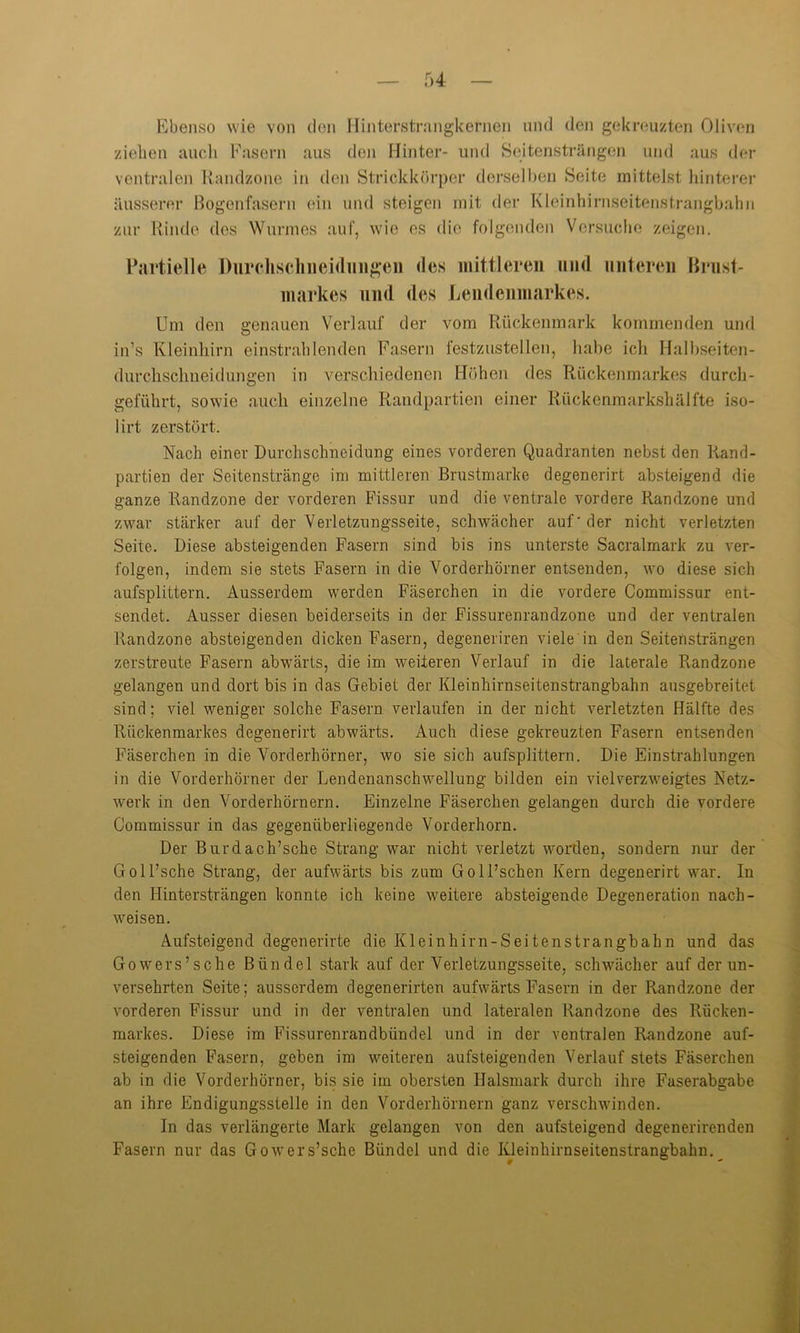 Ebenso wie von den Hinterstrangkernen und den gekreuzten Oliven ziehen auch Fasern aus den Hinter- und Seitensträngen und aus der ventralen Randzone in den Strickkörper derselben Seite mittelst hinterer äusserer Bogenfasern ein und steigen mit der Kleinhirnseitenstrangbahn zur Rinde des Wurmes auf, wie es die folgenden Versuche zeigen. Partielle Durclischiieiduiigeii des mittleren und unteren Brust- markes und des Lendenmarkes. Um den genauen Verlauf der vom Rückenmark kommenden und in’s Kleinhirn einstrahlenden Fasern festzustellen, habe ich Halbseiten- durchschneidungen in verschiedenen Höhen des Rückenmarkes durch- geführt, sowie auch einzelne Randpartien einer Rückenmarkshälfte iso- lirt zerstört. Nach einer Durchschneidung eines vorderen Quadranten nebst den Rand- partien der Seitenstränge im mittleren Brustmarke degenerirt absteigend die ganze Randzone der vorderen Fissur und die ventrale vordere Randzone und zwar stärker auf der Verletzungsseite, schwächer auf* der nicht verletzten Seite. Diese absteigenden Fasern sind bis ins unterste Sacralmark zu ver- folgen, indem sie stets Fasern in die Vorderhörner entsenden, wo diese sich aufsplittern. Ausserdem werden Fäserchen in die vordere Commissur ent- sendet. Ausser diesen beiderseits in der Fissurenrandzone und der ventralen Randzone absteigenden dicken Fasern, degeneriren viele in den Seitensträngen zerstreute Fasern abwärts, die im weiteren Verlauf in die laterale Randzone gelangen und dort bis in das Gebiet der Kleinhirnseitenstrangbahn ausgebreitet sind; viel weniger solche Fasern verlaufen in der nicht verletzten Hälfte des Rückenmarkes degenerirt abwärts. Auch diese gekreuzten Fasern entsenden Fäserchen in die Vorderhörner, wo sie sich aufsplittern. Die Einstrahlungen in die Vorderhörner der Lendenanschwellung bilden ein viel verzweigtes Netz- werk in den Vorderhörnern. Einzelne Fäserchen gelangen durch die vordere Commissur in das gegenüberliegende Vorderhorn. Der Burdach’sche Strang war nicht verletzt worden, sondern nur der Goll’sche Strang, der aufwärts bis zum Goll’schen Kern degenerirt war. In den Hintersträngen konnte ich keine weitere absteigende Degeneration nach- weisen. Aufsteigend degenerirte die Kleinhirn-Seiten strangbahn und das Gowers’sche Bündel stark auf der Verletzungsseite, schwächer auf der un- versehrten Seite; ausserdem degenerirten aufwärts Fasern in der Randzone der vorderen Fissur und in der ventralen und lateralen Randzone des Rücken- markes. Diese im Fissurenrandbündel und in der ventralen Randzone auf- steigenden Fasern, geben im weiteren aufsteigenden Verlauf stets Fäserchen ab in die Vorderhörner, bis sie im obersten Halsmark durch ihre Faserabgabe an ihre Endigungsstelle in den Vorderhörnern ganz verschwinden. In das verlängerte Mark gelangen von den aufsteigend degenerirenden Fasern nur das Gowers’sche Bündel und die Kleinhirnseitenstrangbahn.__