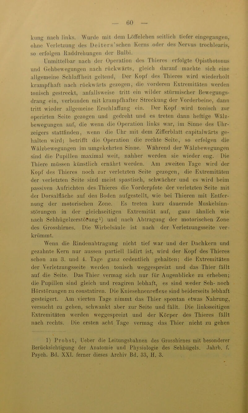 kung nach links. Wurde mit dem Löffel oben seitlich tiefer eingegangen, ohne Verletzung des Dciters’sohen Kerns oder des Nervus troehlearis, so erfolgen Raddrehungen der Bulbi. Unmittelbar nach der Operation des Thieres erfolgte Opisthotonus und Gellbewegungen nach rückwärts, gleich daraui machte sich eine allgemeine Schlaffheit geltend, Der Kopf des Thieres wird wiederholt krampfhaft nach rückwärts gezogen, die vorderen Extremitäten werden tonisch gestreckt, anfallsweise tritt ein wilder stürmischer Bewegungs- drang ein, verbunden mit krampfhafter Streckung der Vorderbeine, dann tritt wieder allgemeine Erschlaffung ein. Der Kopf wird tonisch zur operirten Seite gezogen und gedreht und es treten dann heftige Wälz- bewegungen auf, die wenn die Operation links war, im Sinne des Uhr- zeigers statthnden, wenn die Uhr mit dem Zifferblatt capitalwärts ge- halten wird; betrifft die Operation die rechte Seite, so erfolgen die Wälzbewegungen im umgekehrten Sinne. Während der Wälzbewegungen sind die Pupillen maximal weit, nahher werden sie wieder eng. Die Thiere müssen künstlich ernährt werden. Am zweiten Tage wird der Kopf des Thieres noch zur verletzten Seite gezogen, die Extremitäten der verletzten Seite sind meist spastisch, schwächer und es wird beim passiven Aufrichten des Thieres die Vorderpfote der verletzten Seite mit der Dorsalfläche auf den Boden aufgestellt, wie bei Tliieren mit Entfer- nung der motorischen Zone. Es treten kurz dauernde Muskelsinn- störungen in der gleichseitigen Extremität auf, ganz ähnlich wie nach Sehhügelzerstöfung1) und nach Abtragung der motorischen Zone des Grosshirnes. Die Wirbelsäule ist nach der Verletzungsseite ver- krümmt. Wenn die Rindenabtragung nicht tief war und der Dachkern und gezahnte Kern nur aussen partiell lädirt ist, wird der Kopf des Thieres schon am 3. und 4. Tage ganz ordentlich gehalten; die Extremitäten der Verletzungsseite werden tonisch weggespreizt und das Thier fällt auf die Seite. Das Thier vermag sich nur für Augenblicke zu erheben; die Pupillen sind gleich und reagiren lebhaft, es sind weder Seh- noch Hörstörungen zu constatiren. Die Kniesehnenreflexe sind beiderseits lebhaft gesteigert. Am vierten Tage nimmt das Thier spontan etwas Nahrung, versucht zu gehen, schwankt aber zur Seite und fällt. Die linksseitigen Extremitäten werden weggespreizt und der Körper des Thieres fällt nach rechts. Die ersten acht Tage vermag das Thier nicht zu gehen 1) Probst, Ueber die Leitungsbahnen des Grosshirnes mit besonderer Berücksichtigung der Anatomie und Physiologie des Sehluigels. Jahrb. f. Psych. Bd. XXL ferner dieses Archiv Bd. 33, H. 3.